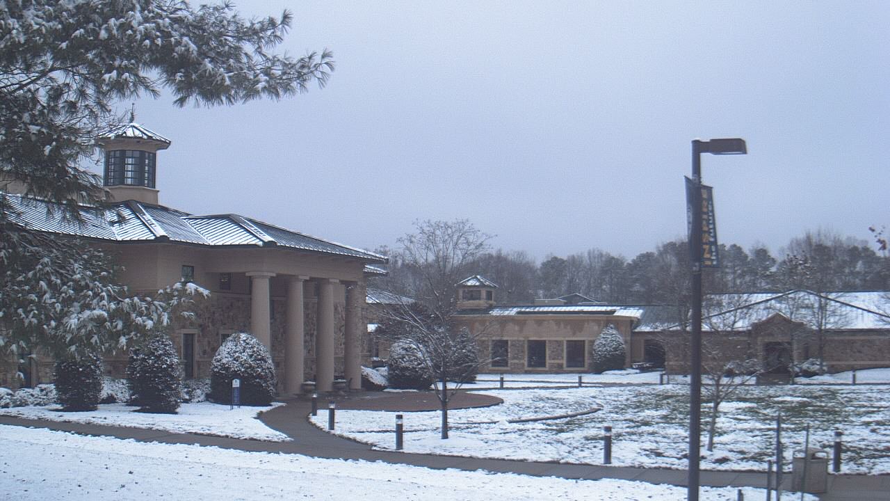 Thumbnail for current weather camera view from The Steward School in Henrico, Virginia