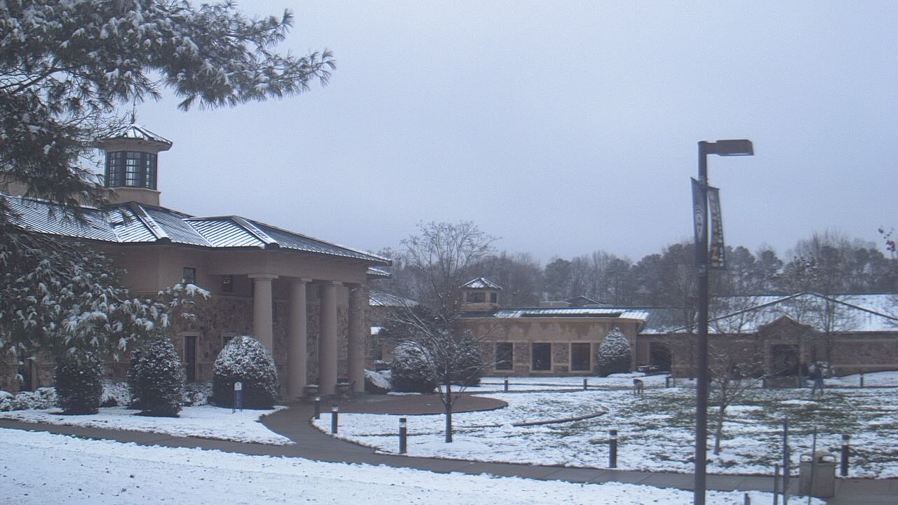Thumbnail for current weather camera view from The Steward School in Henrico, Virginia