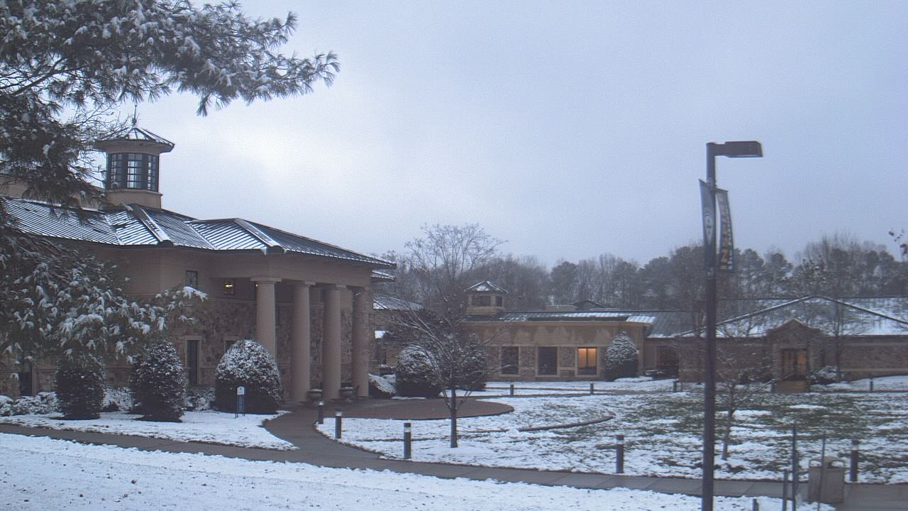 Thumbnail for current weather camera view from The Steward School in Henrico, Virginia