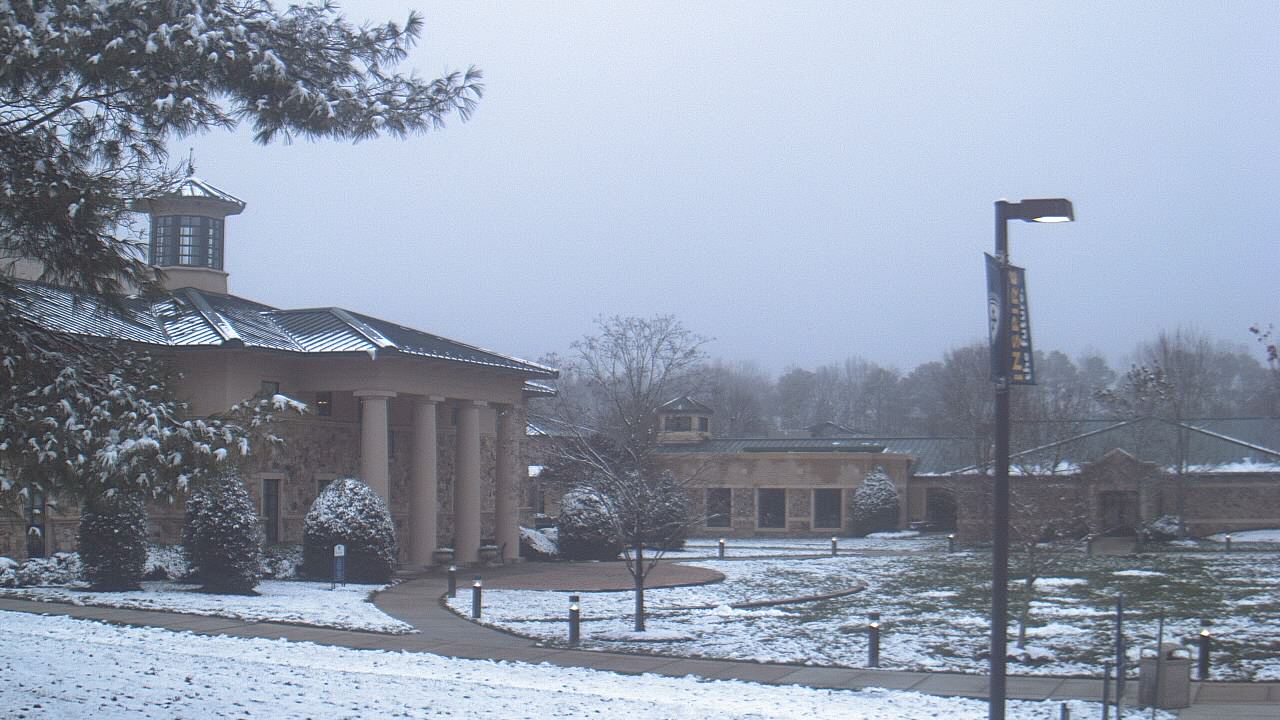 Thumbnail for current weather camera view from The Steward School in Henrico, Virginia