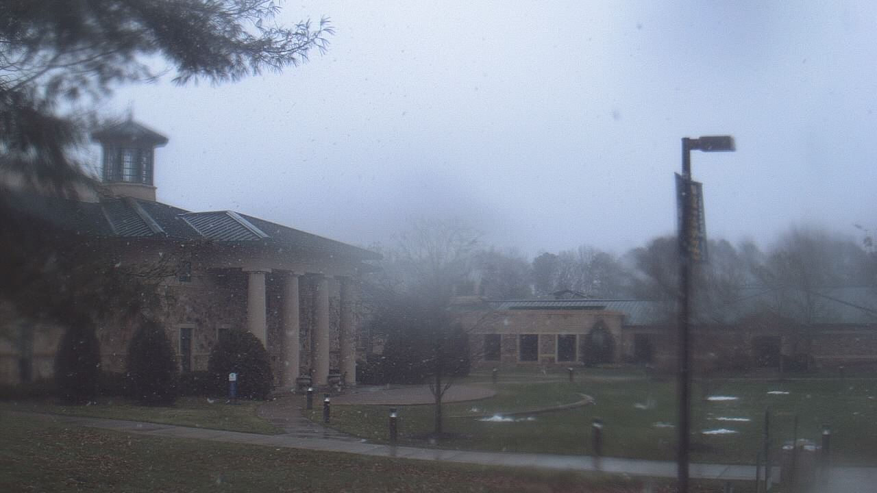 Thumbnail for current weather camera view from The Steward School in Henrico, Virginia