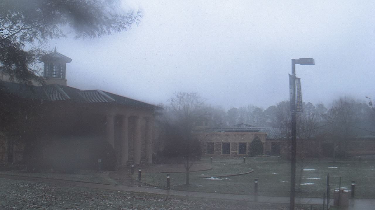 Thumbnail for current weather camera view from The Steward School in Henrico, Virginia