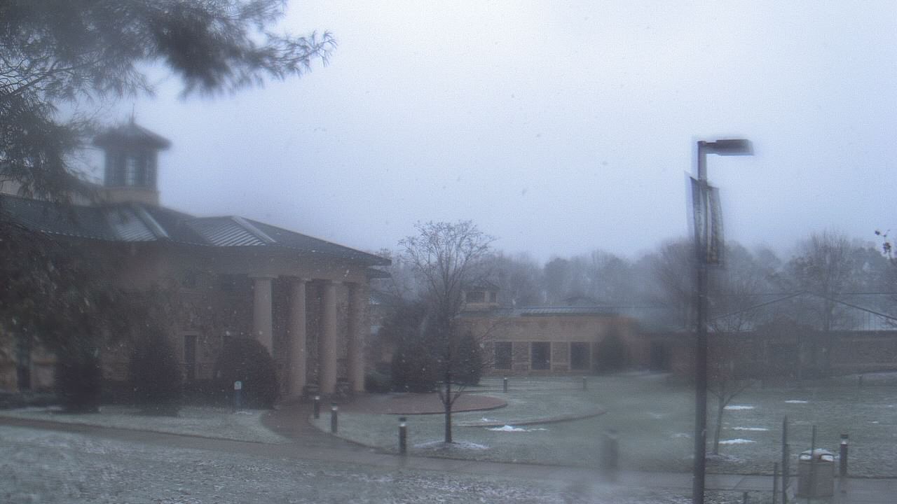 Thumbnail for current weather camera view from The Steward School in Henrico, Virginia