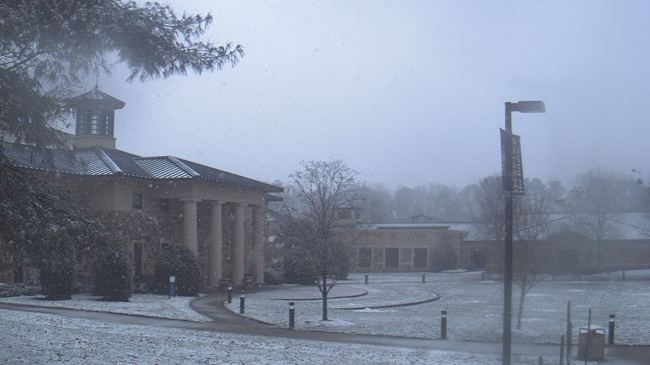 Thumbnail for current weather camera view from The Steward School in Henrico, Virginia