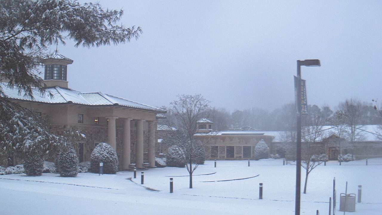 Thumbnail for current weather camera view from The Steward School in Henrico, Virginia