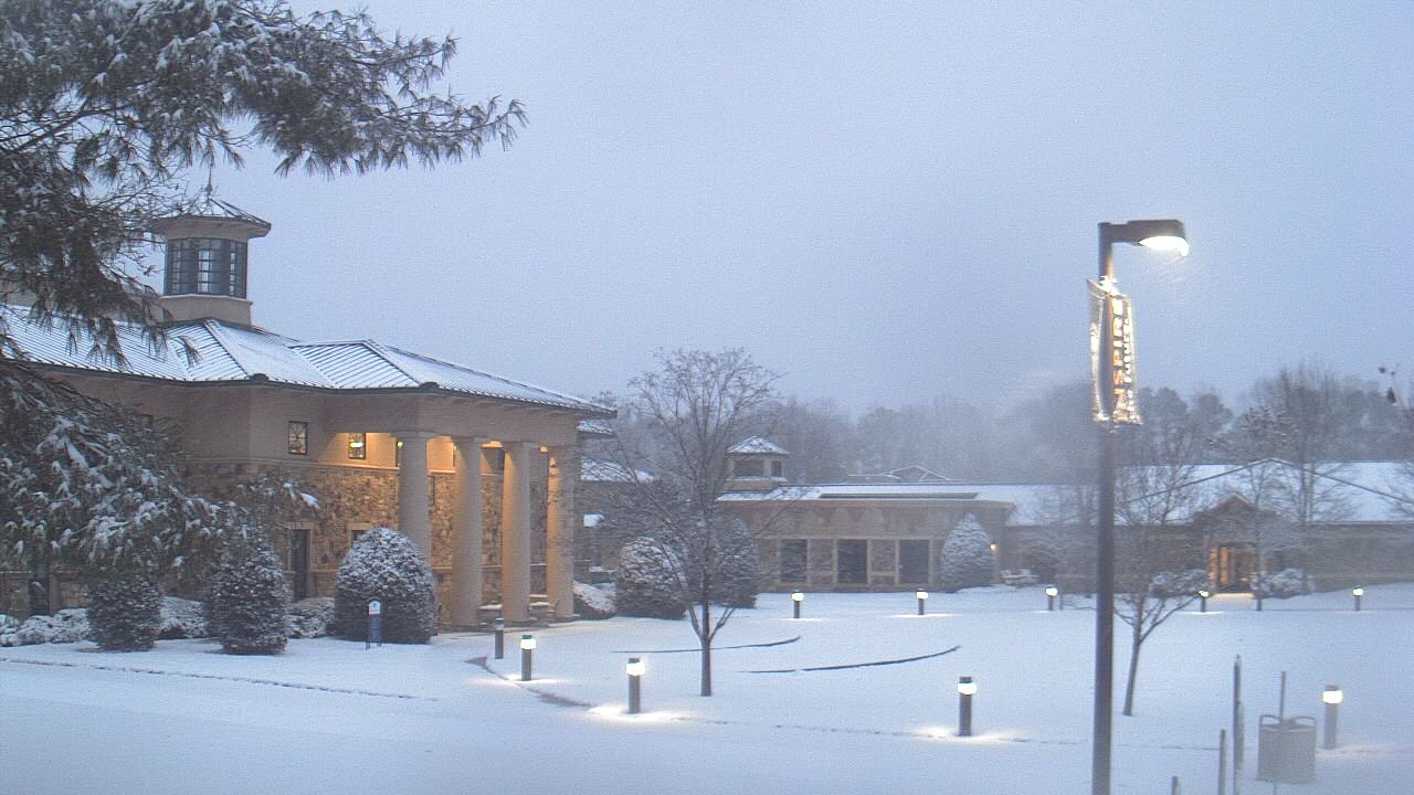 Thumbnail for current weather camera view from The Steward School in Henrico, Virginia