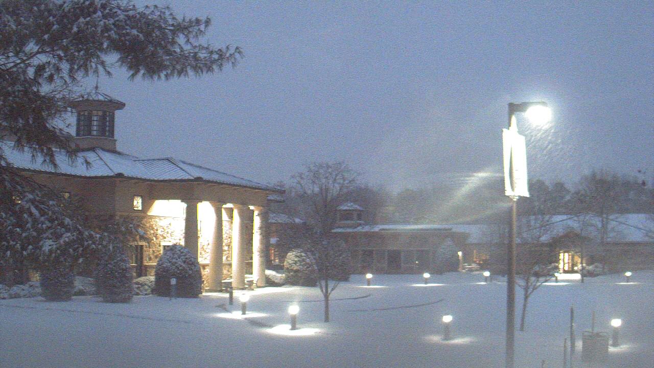 Thumbnail for current weather camera view from The Steward School in Henrico, Virginia