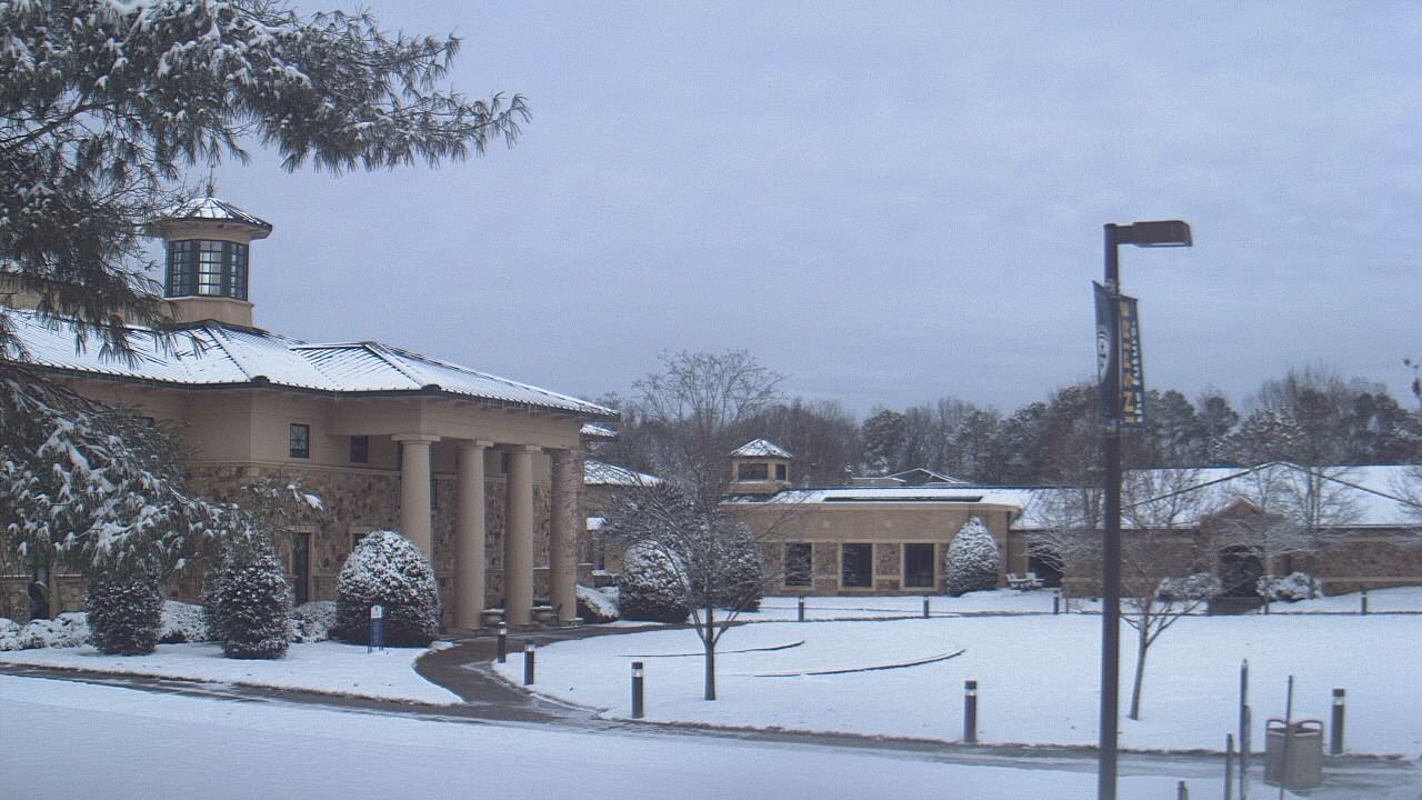 Thumbnail for current weather camera view from The Steward School in Henrico, Virginia