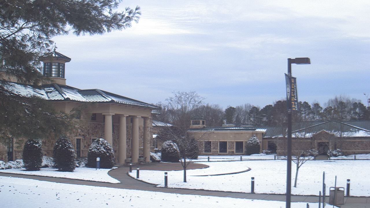 Thumbnail for current weather camera view from The Steward School in Henrico, Virginia