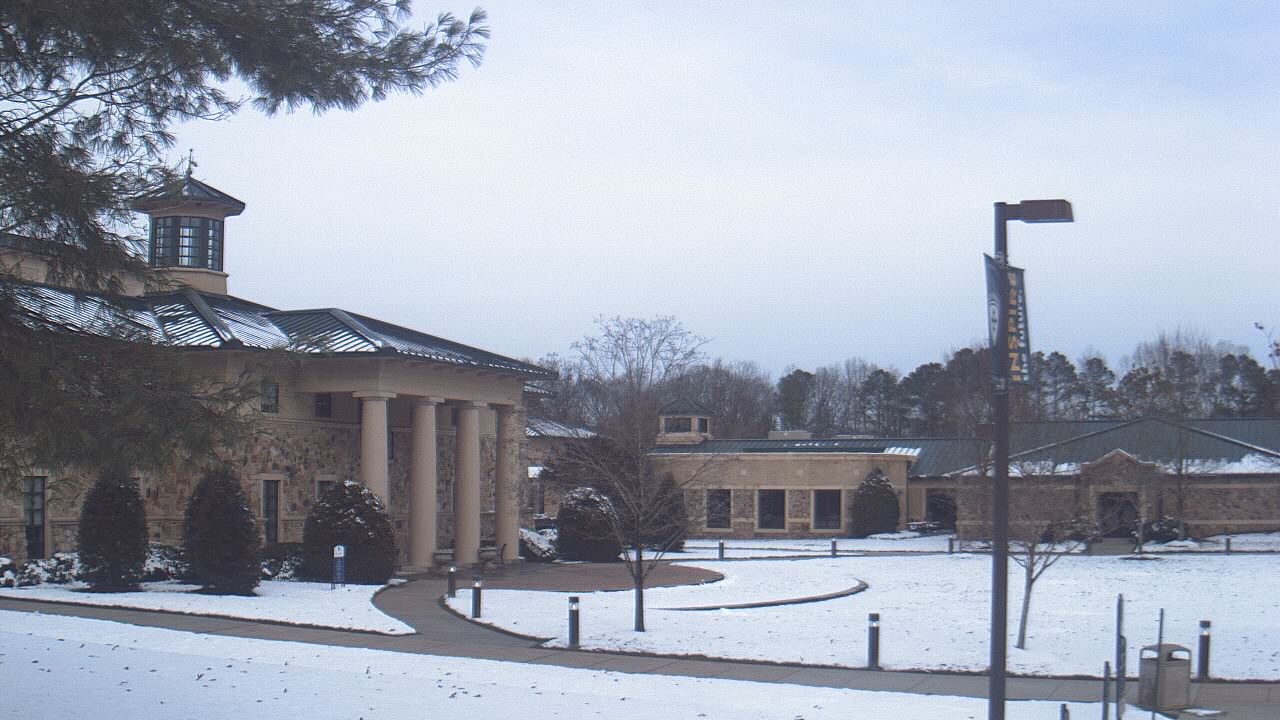 Thumbnail for current weather camera view from The Steward School in Henrico, Virginia