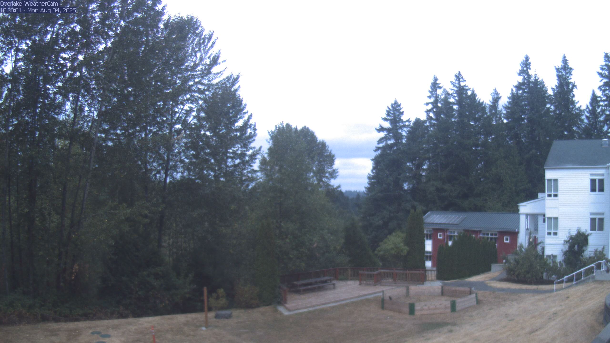 Thumbnail for current weather camera view from The Overlake School in Redmond, Washington