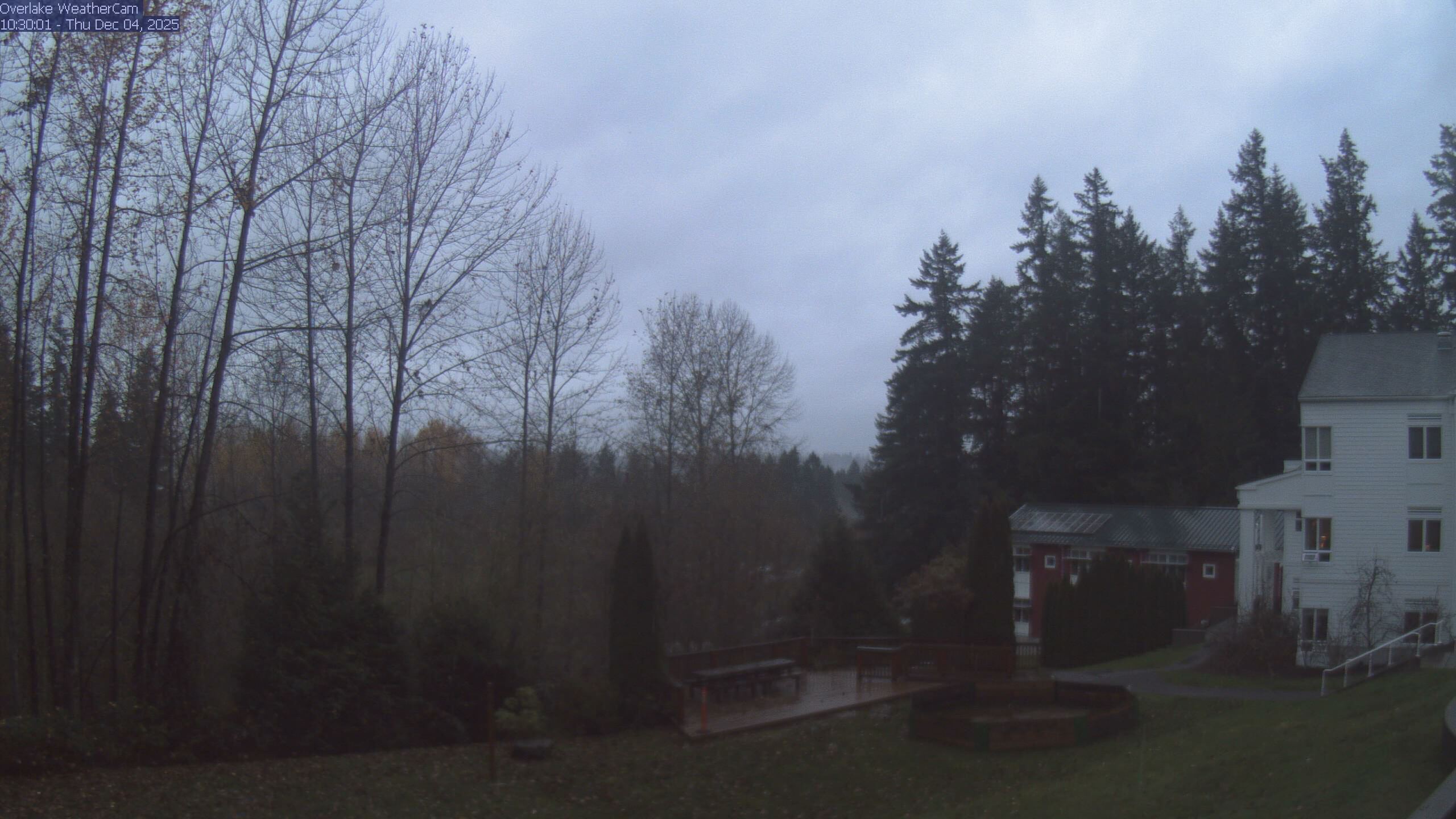 Thumbnail for current weather camera view from The Overlake School in Redmond, Washington