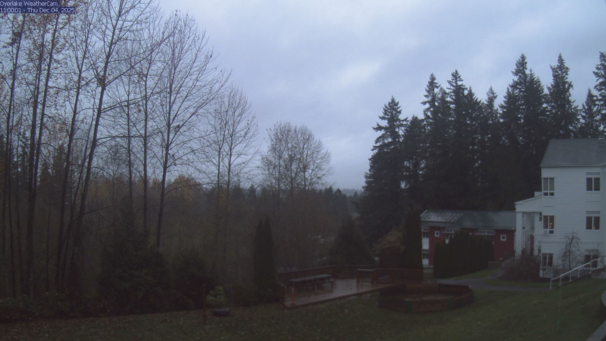Thumbnail for current weather camera view from The Overlake School in Redmond, Washington