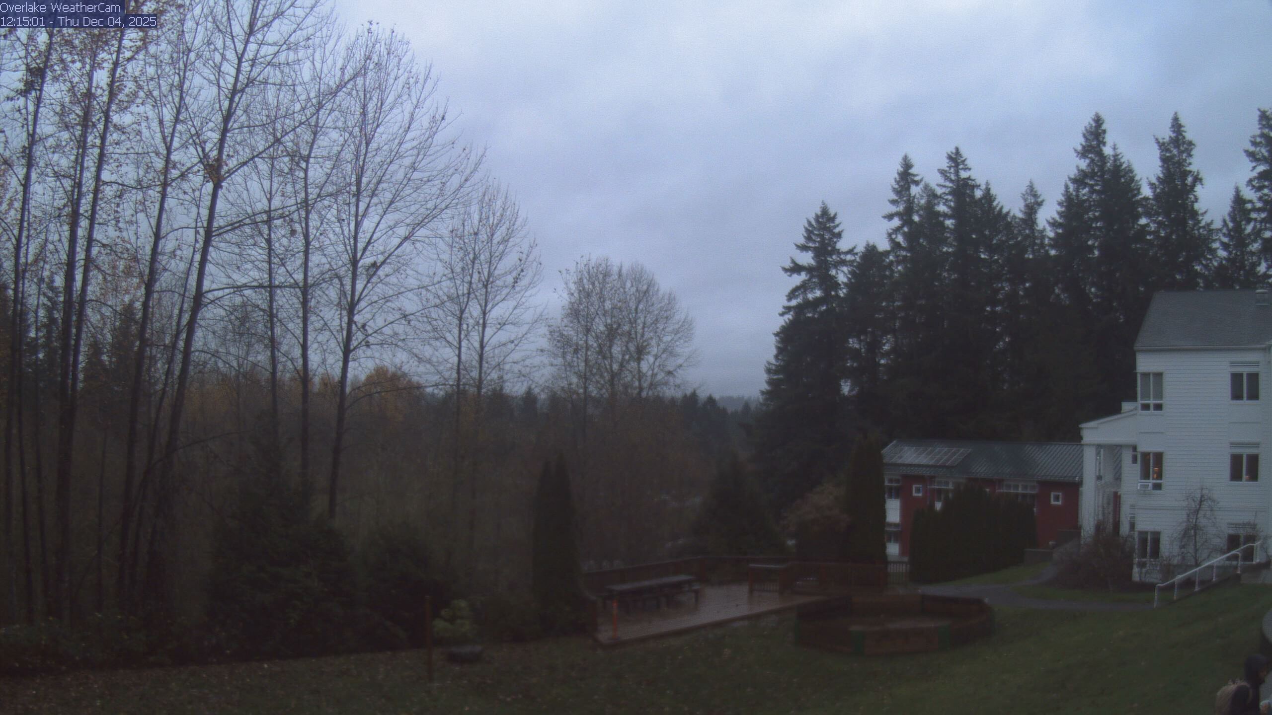 Thumbnail for current weather camera view from The Overlake School in Redmond, Washington