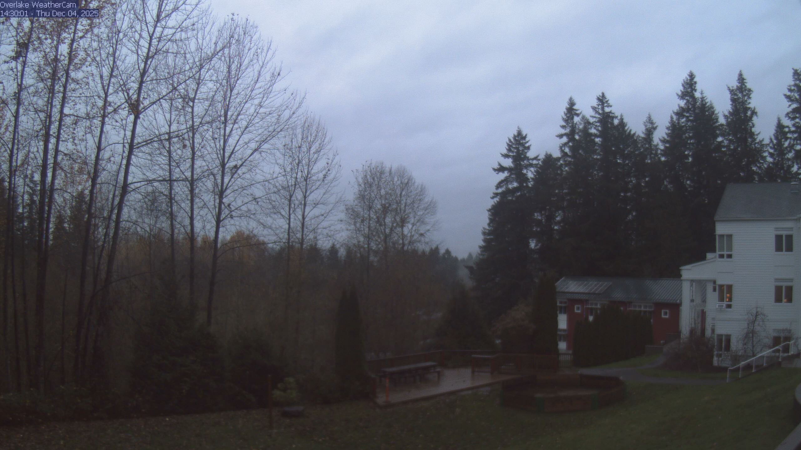 Thumbnail for current weather camera view from The Overlake School in Redmond, Washington