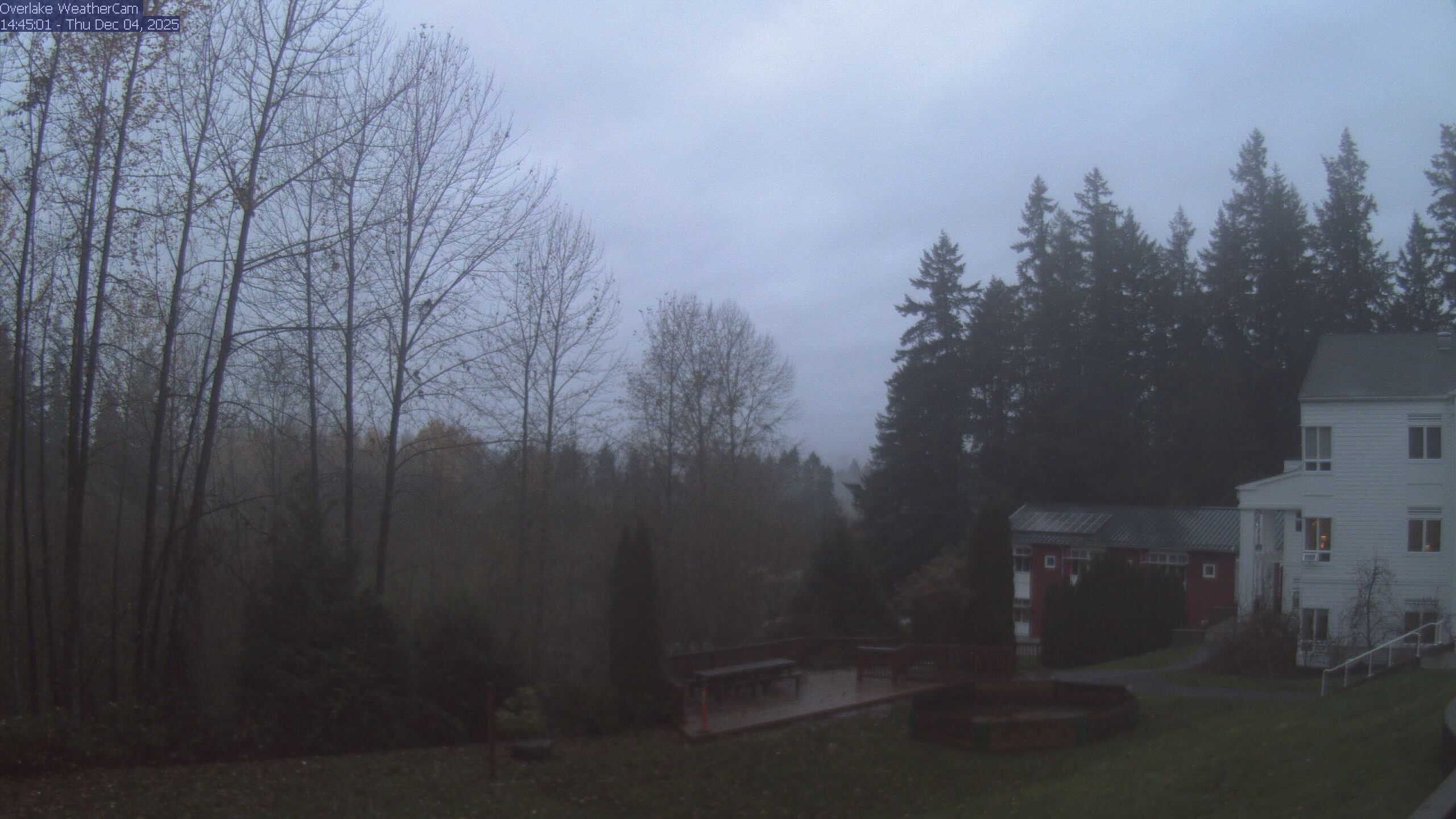 Thumbnail for current weather camera view from The Overlake School in Redmond, Washington