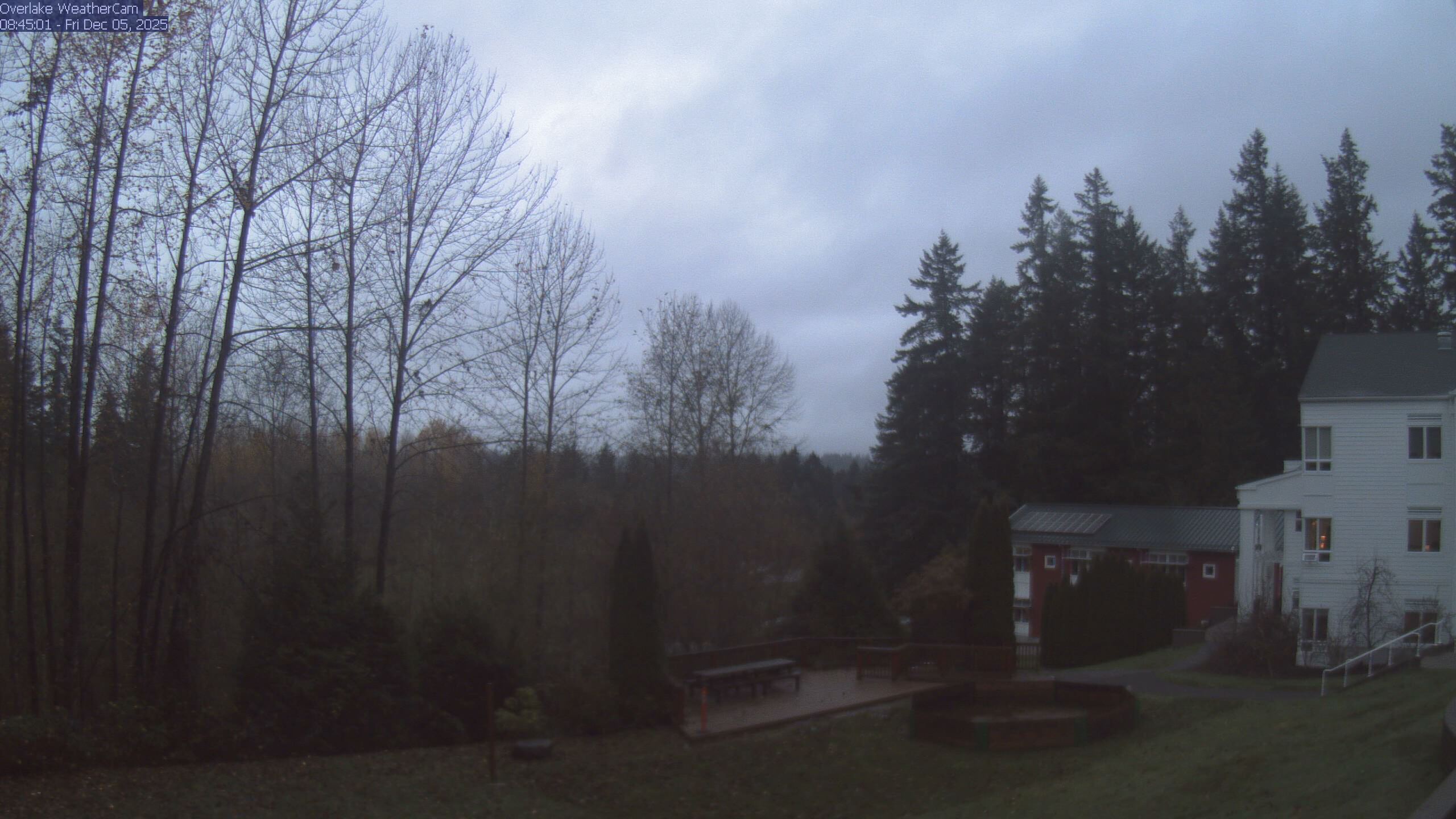 Thumbnail for current weather camera view from The Overlake School in Redmond, Washington