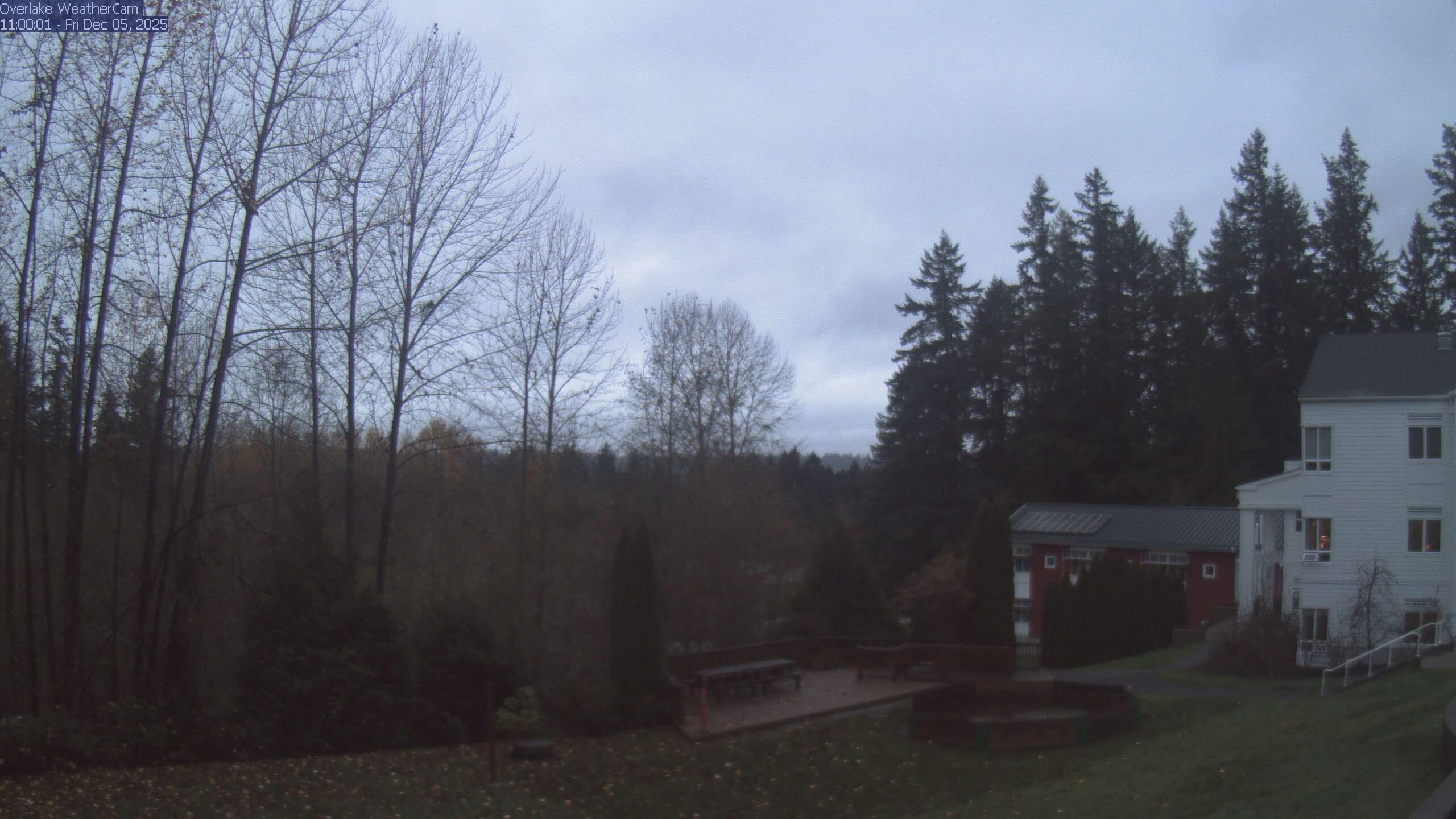 Thumbnail for current weather camera view from The Overlake School in Redmond, Washington