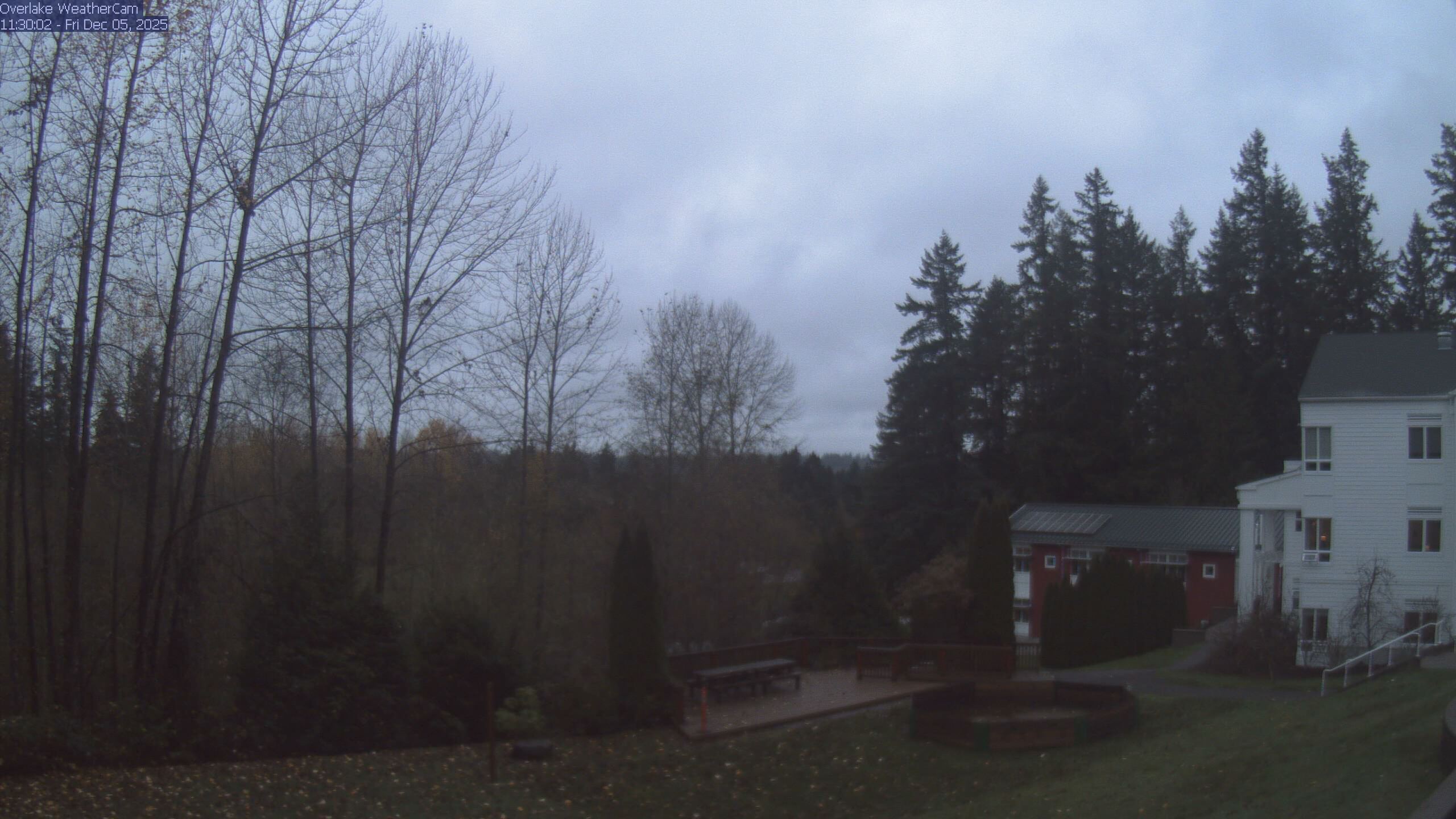 Thumbnail for current weather camera view from The Overlake School in Redmond, Washington
