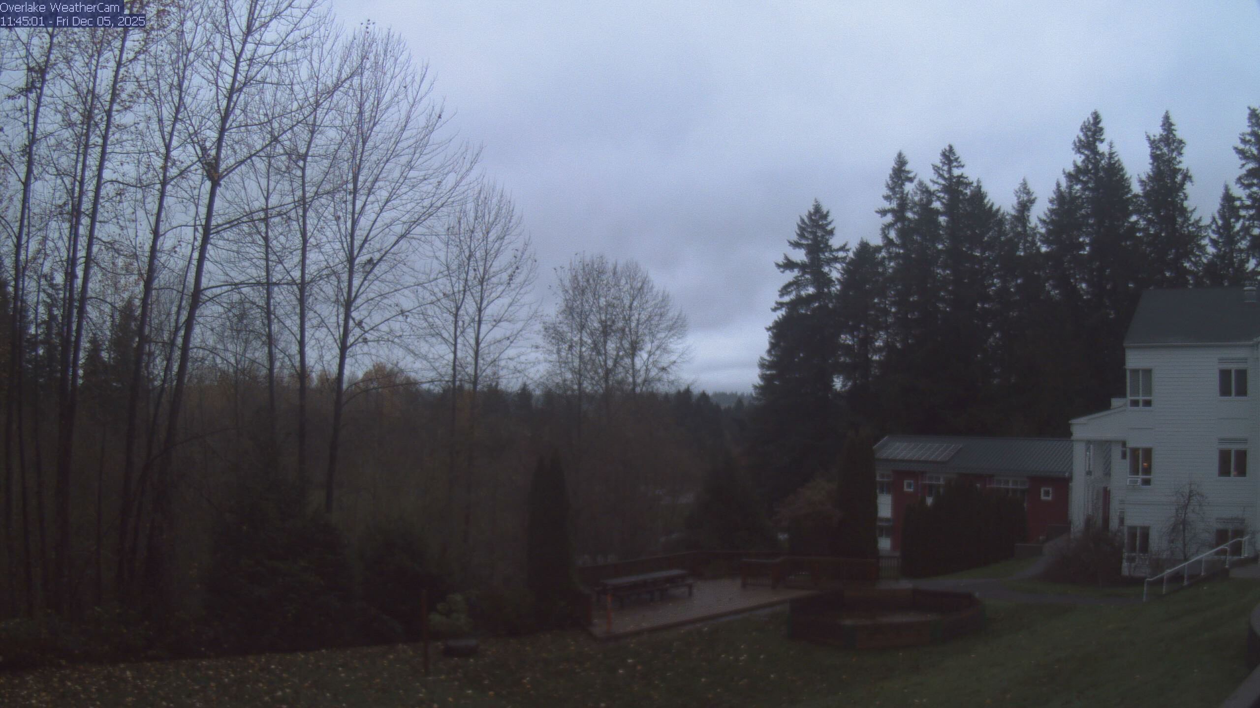 Thumbnail for current weather camera view from The Overlake School in Redmond, Washington