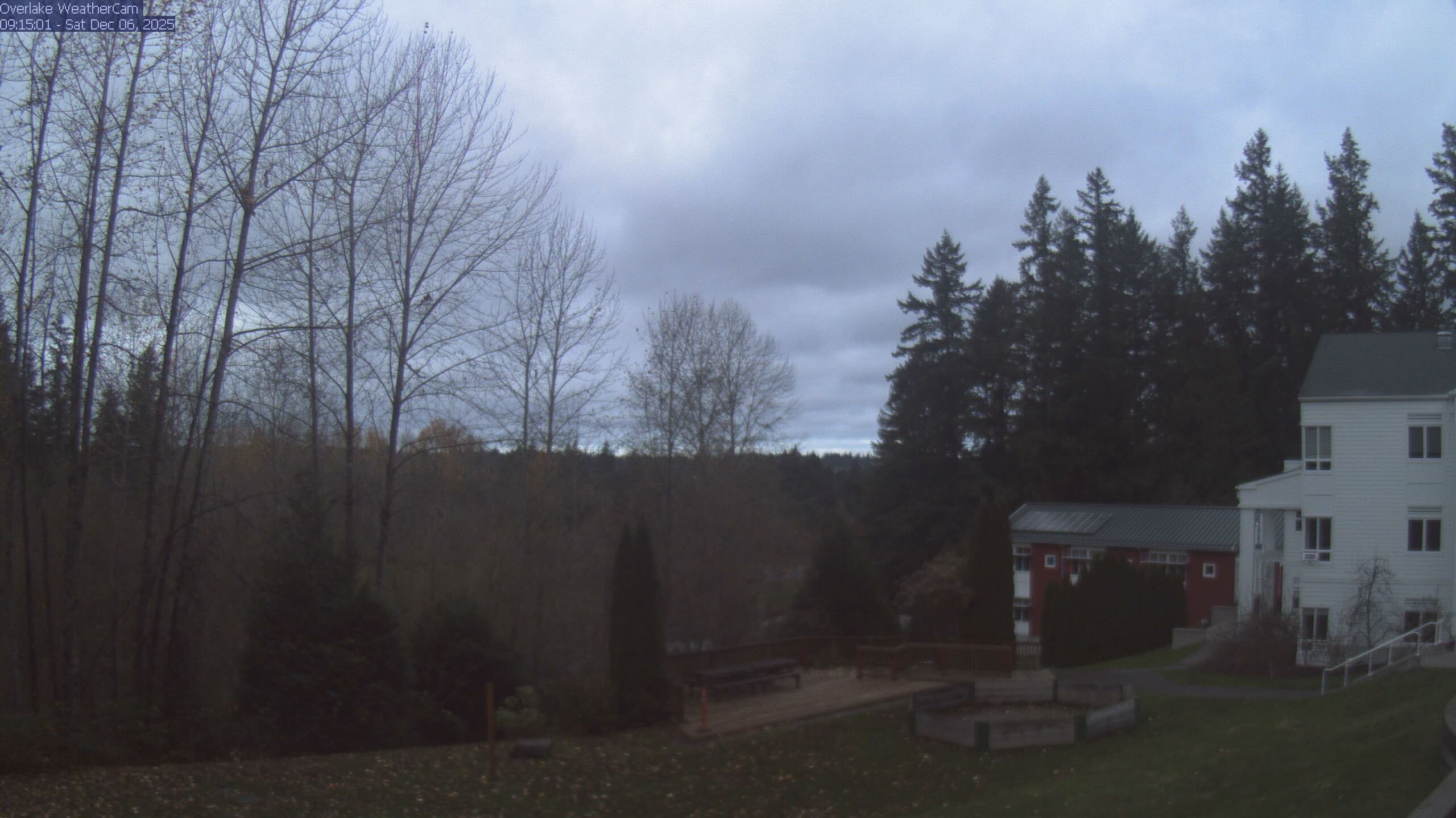 Thumbnail for current weather camera view from The Overlake School in Redmond, Washington