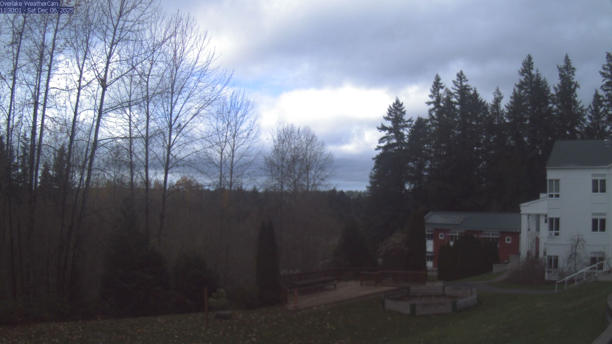Thumbnail for current weather camera view from The Overlake School in Redmond, Washington