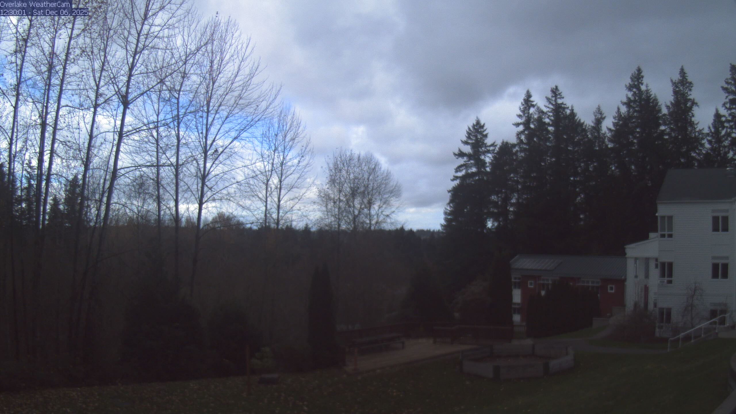 Thumbnail for current weather camera view from The Overlake School in Redmond, Washington