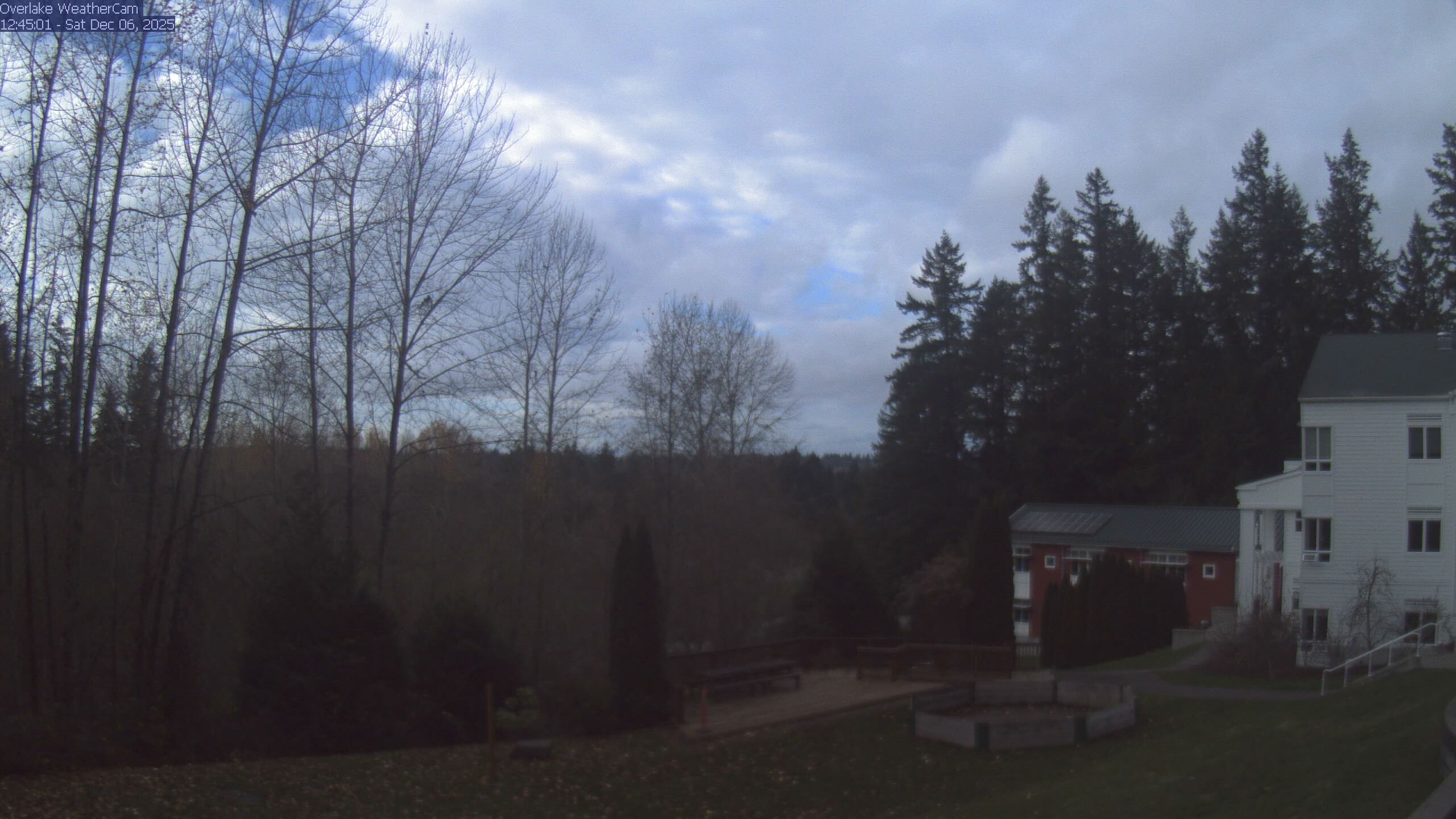 Thumbnail for current weather camera view from The Overlake School in Redmond, Washington