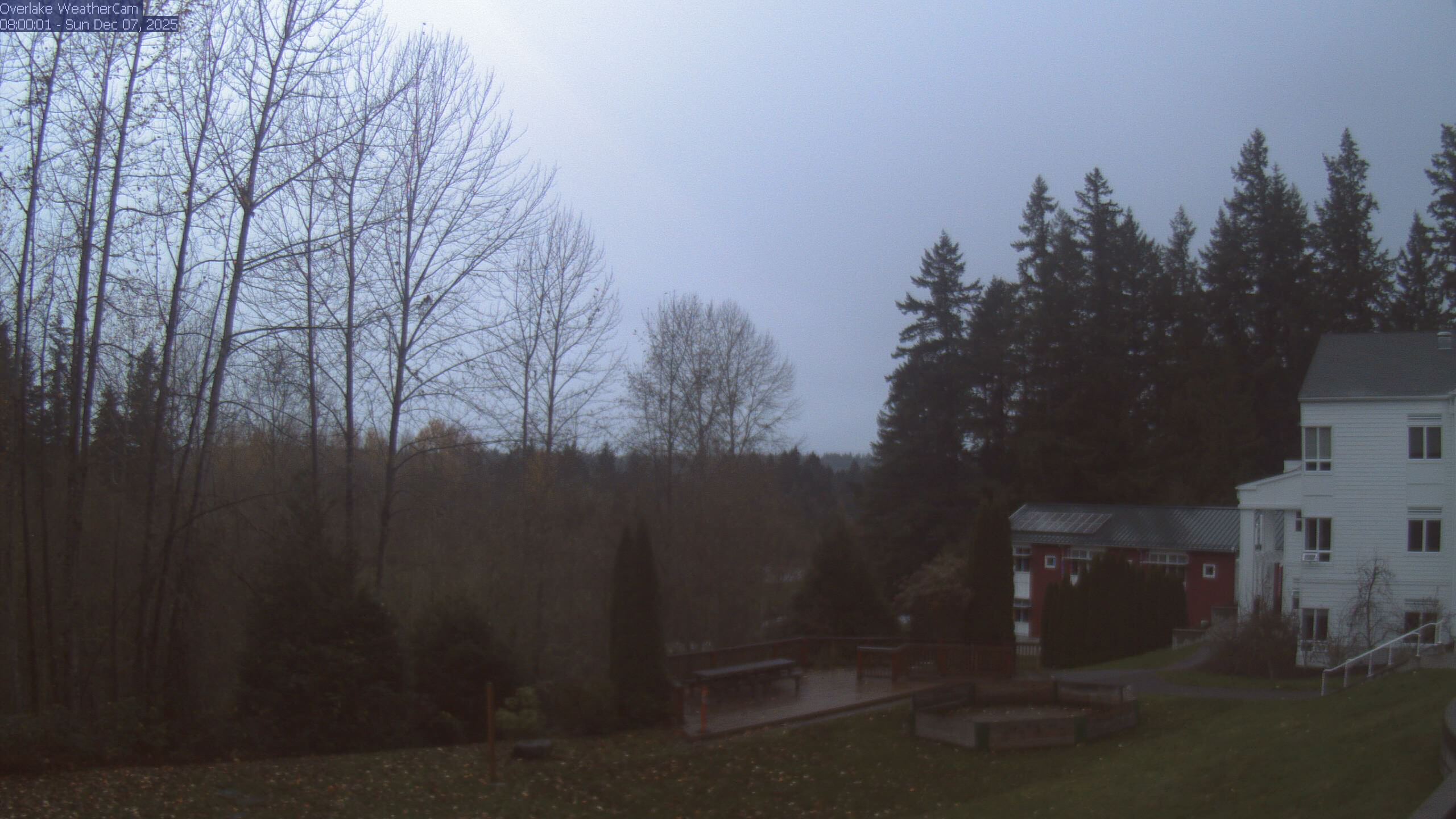 Thumbnail for current weather camera view from The Overlake School in Redmond, Washington