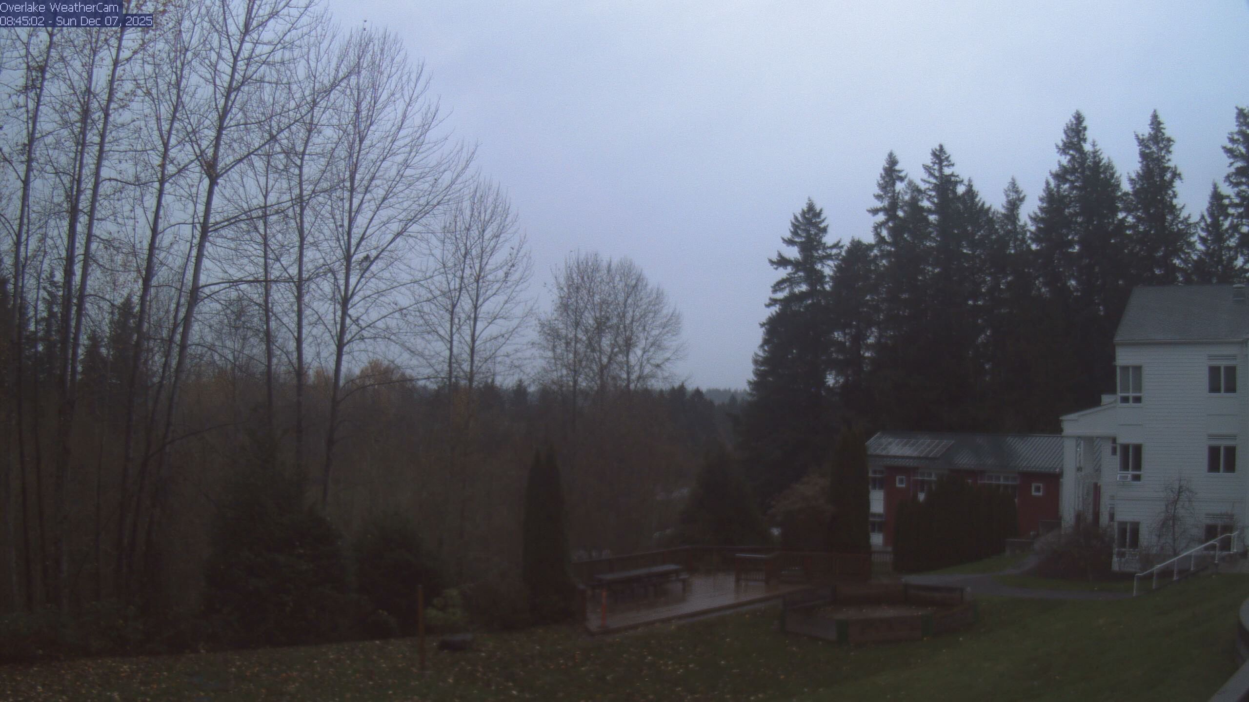 Thumbnail for current weather camera view from The Overlake School in Redmond, Washington