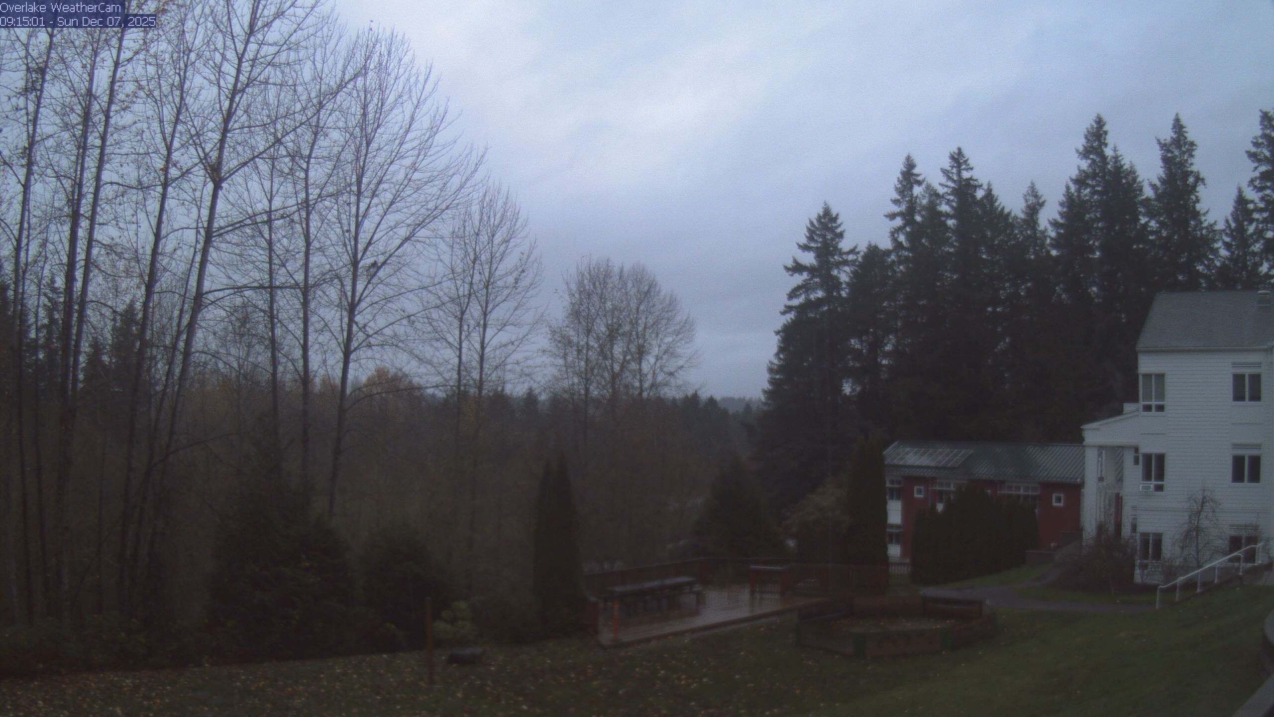 Thumbnail for current weather camera view from The Overlake School in Redmond, Washington