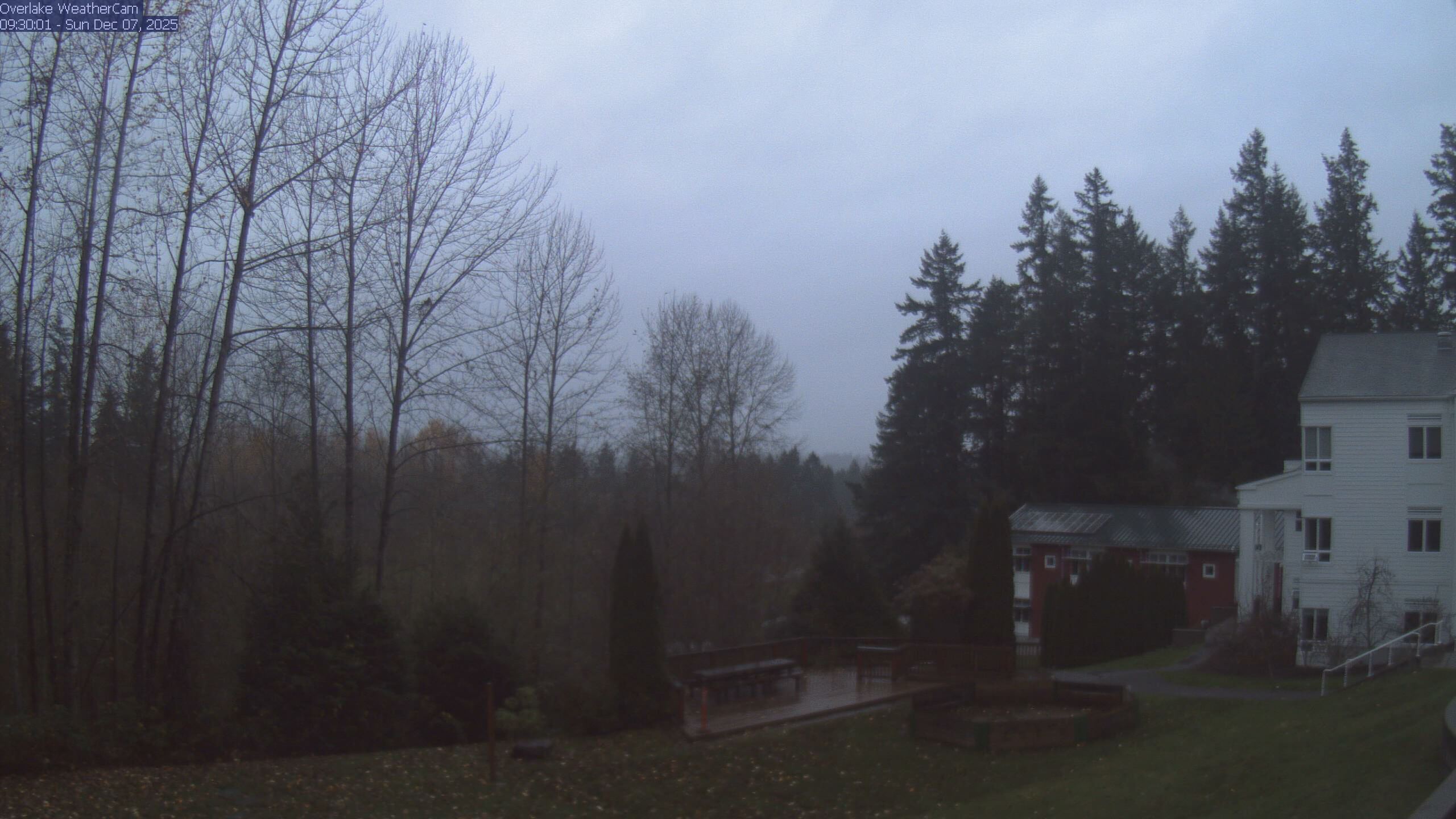 Thumbnail for current weather camera view from The Overlake School in Redmond, Washington