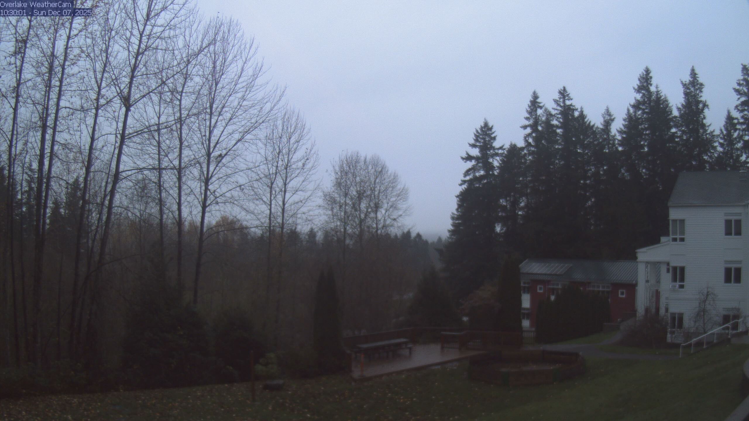 Thumbnail for current weather camera view from The Overlake School in Redmond, Washington