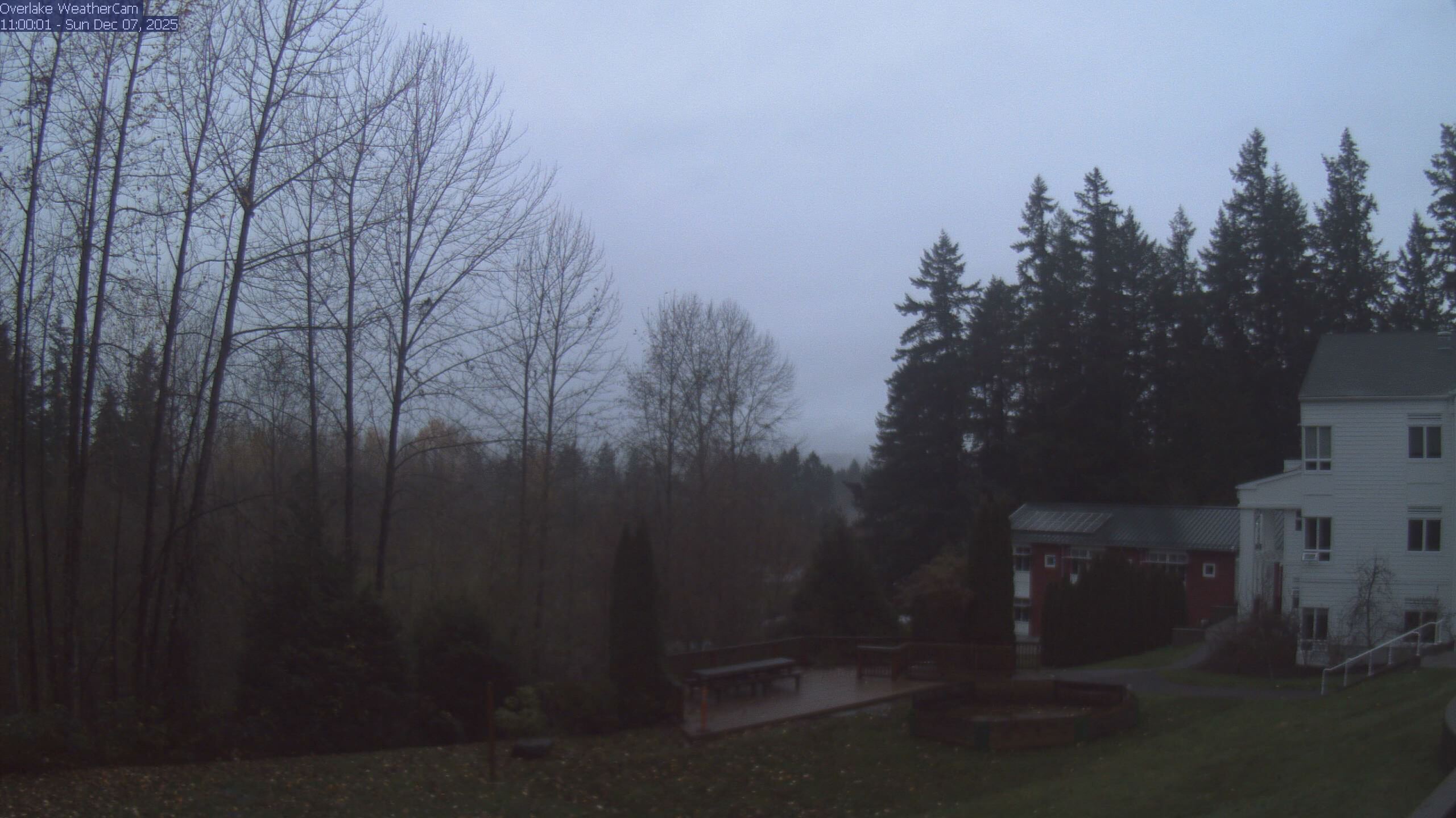 Thumbnail for current weather camera view from The Overlake School in Redmond, Washington