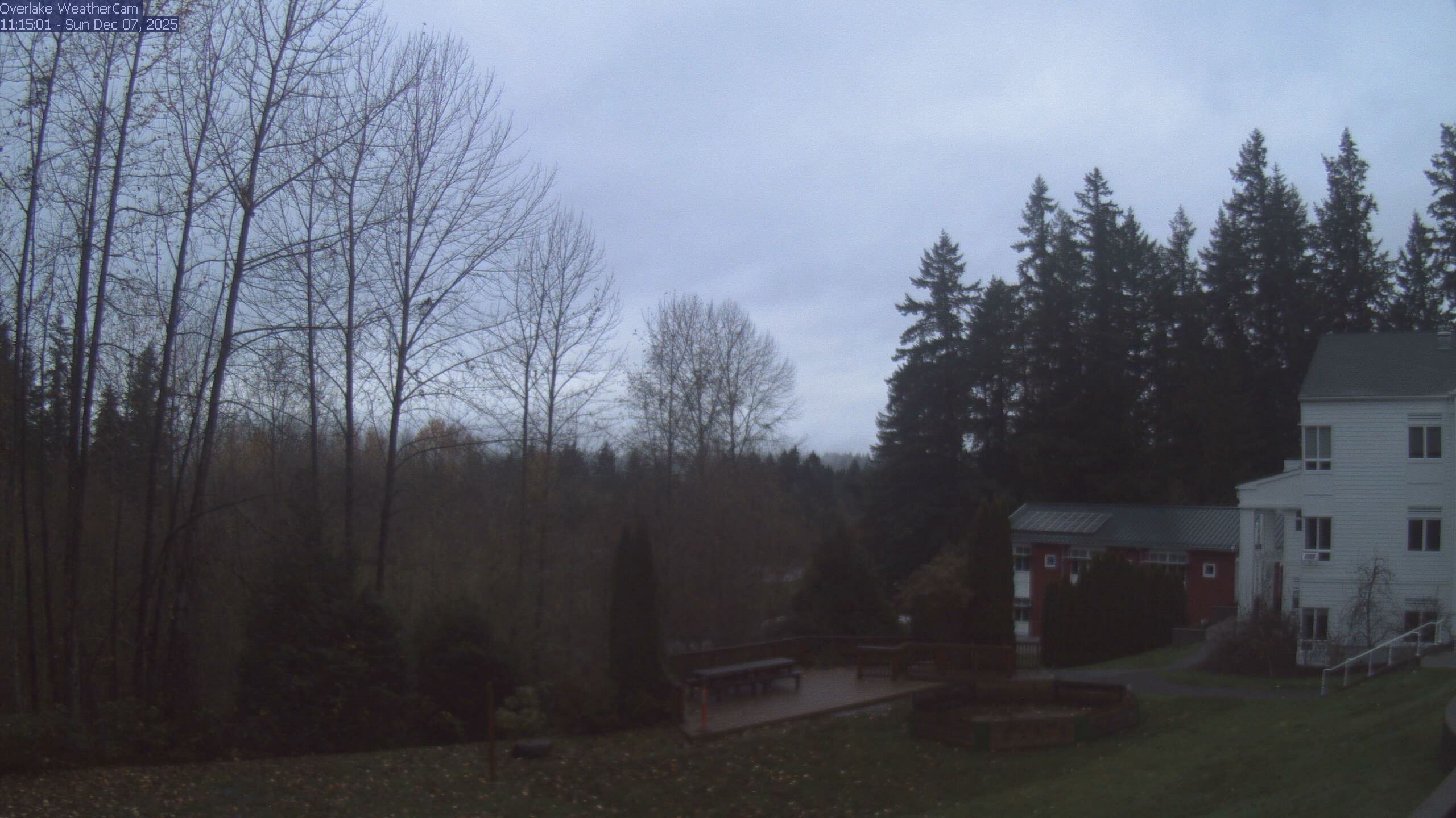 Thumbnail for current weather camera view from The Overlake School in Redmond, Washington