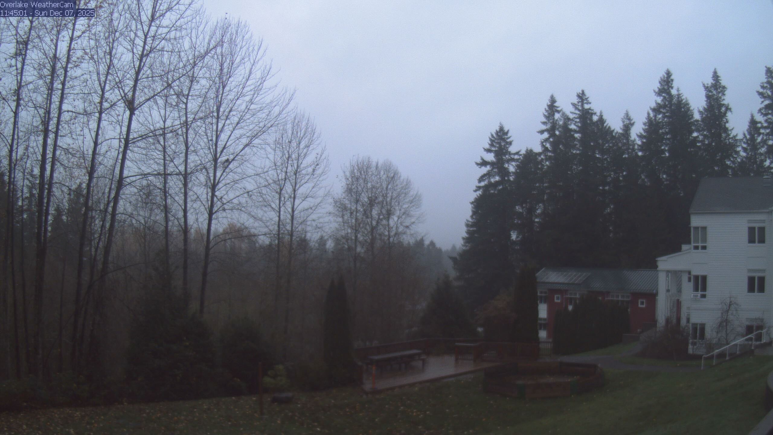 Thumbnail for current weather camera view from The Overlake School in Redmond, Washington