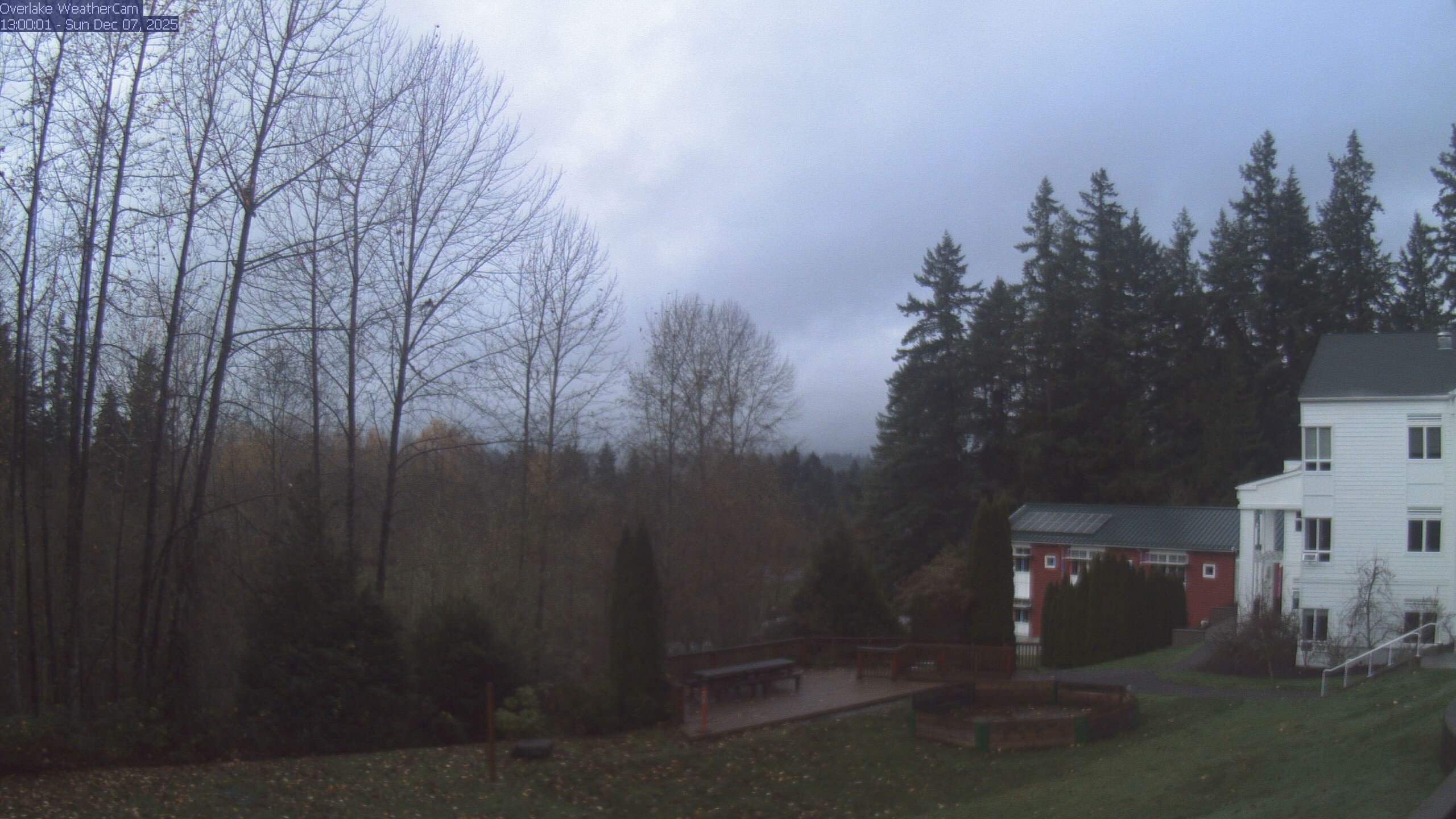 Thumbnail for current weather camera view from The Overlake School in Redmond, Washington