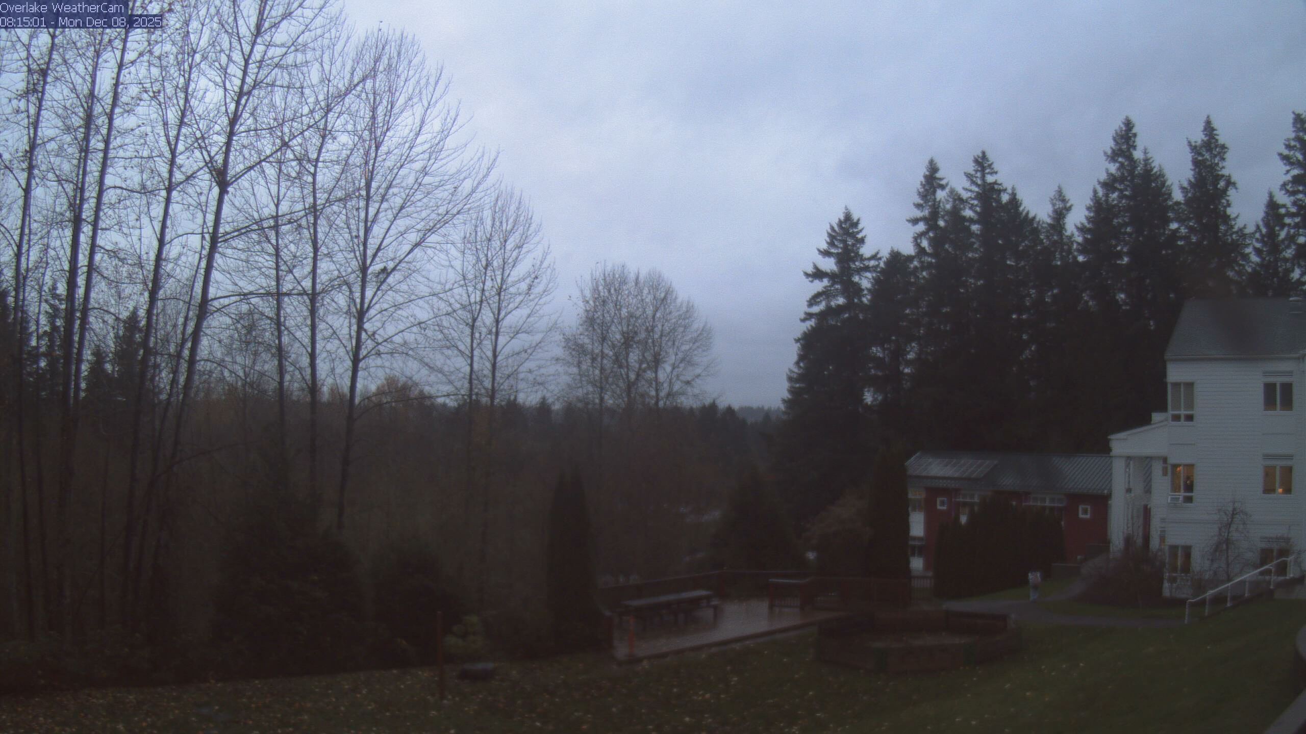 Thumbnail for current weather camera view from The Overlake School in Redmond, Washington