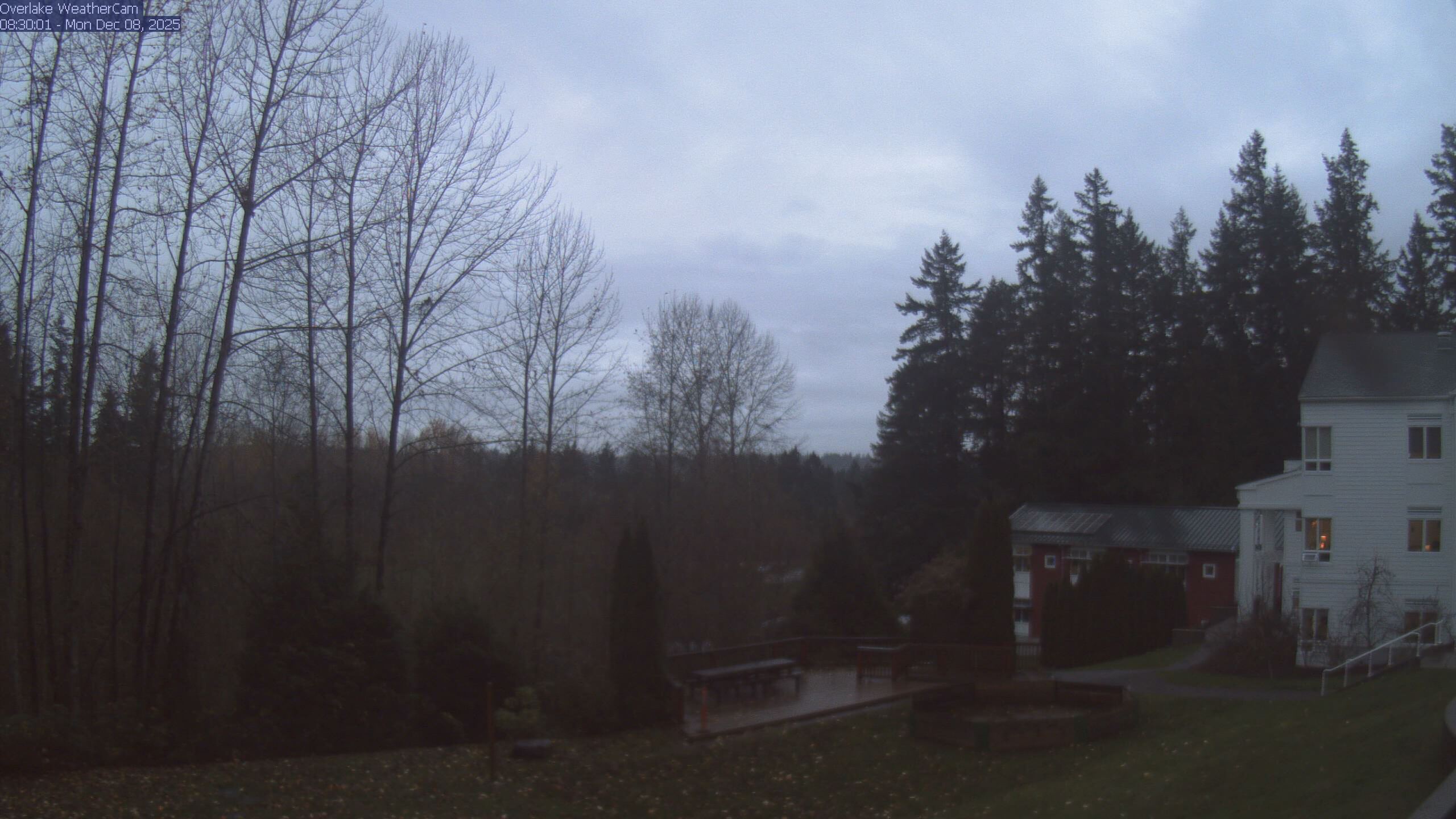 Thumbnail for current weather camera view from The Overlake School in Redmond, Washington