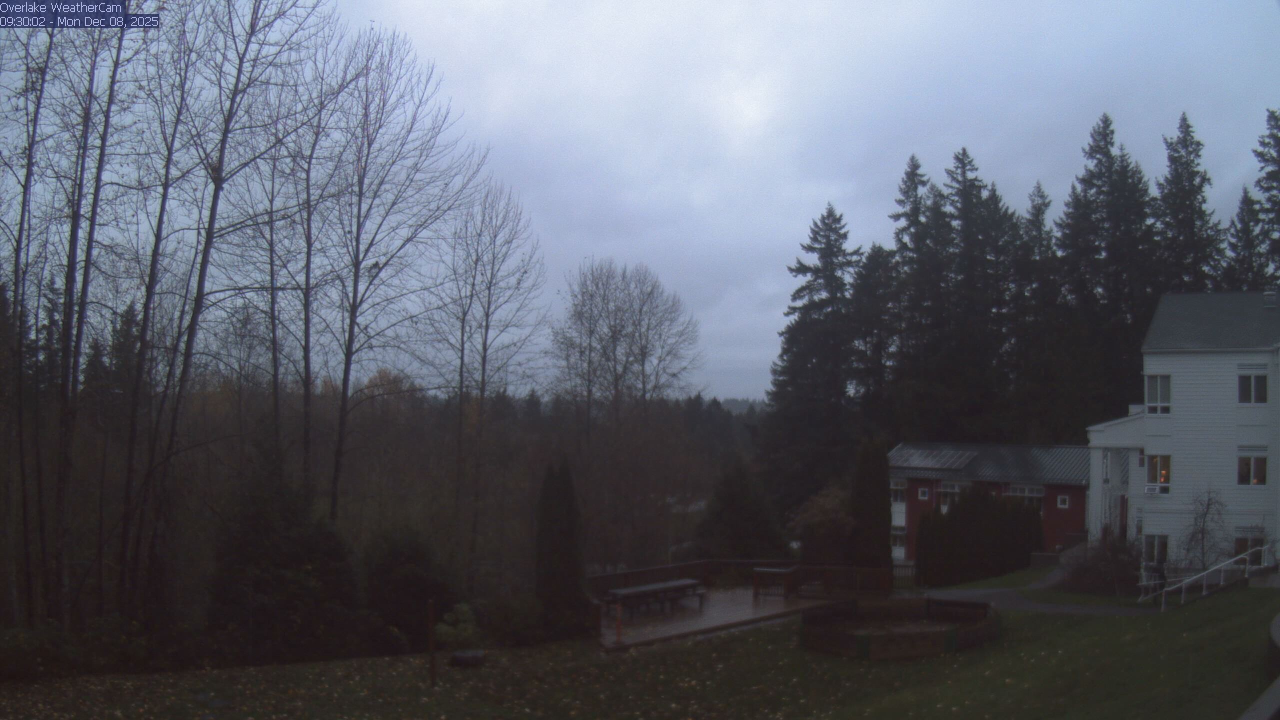 Thumbnail for current weather camera view from The Overlake School in Redmond, Washington