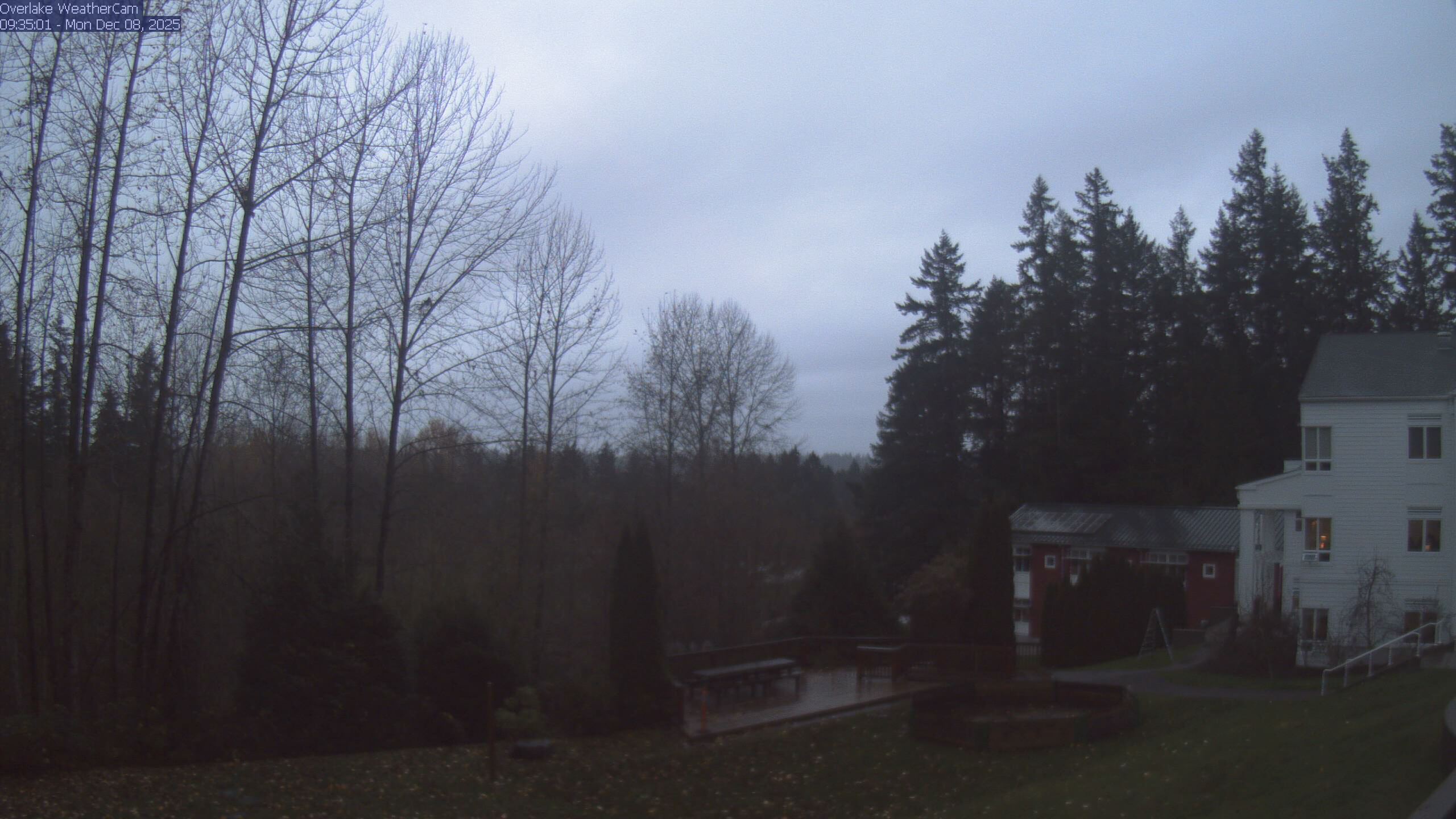 Thumbnail for current weather camera view from The Overlake School in Redmond, Washington