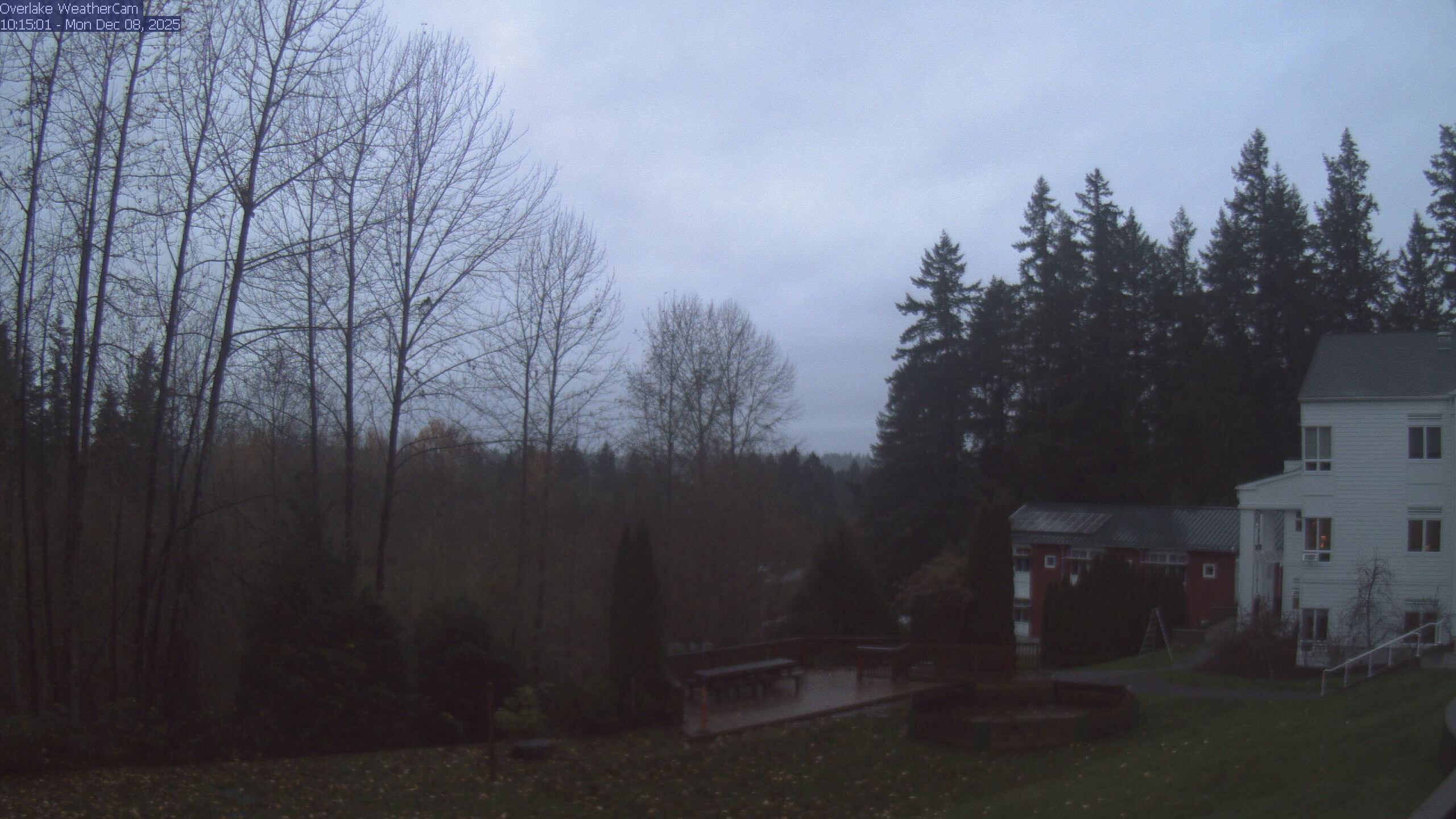 Thumbnail for current weather camera view from The Overlake School in Redmond, Washington