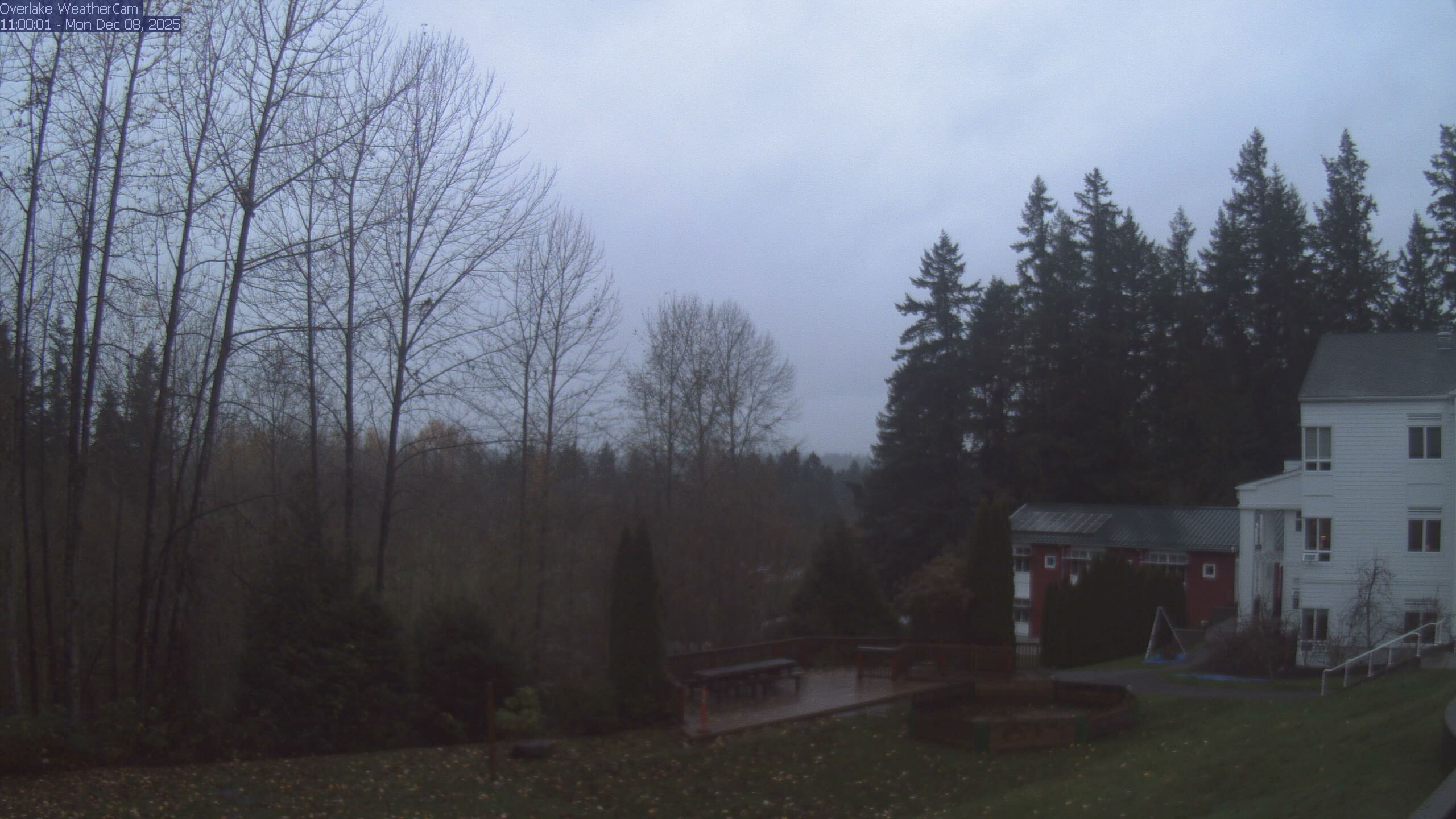 Thumbnail for current weather camera view from The Overlake School in Redmond, Washington