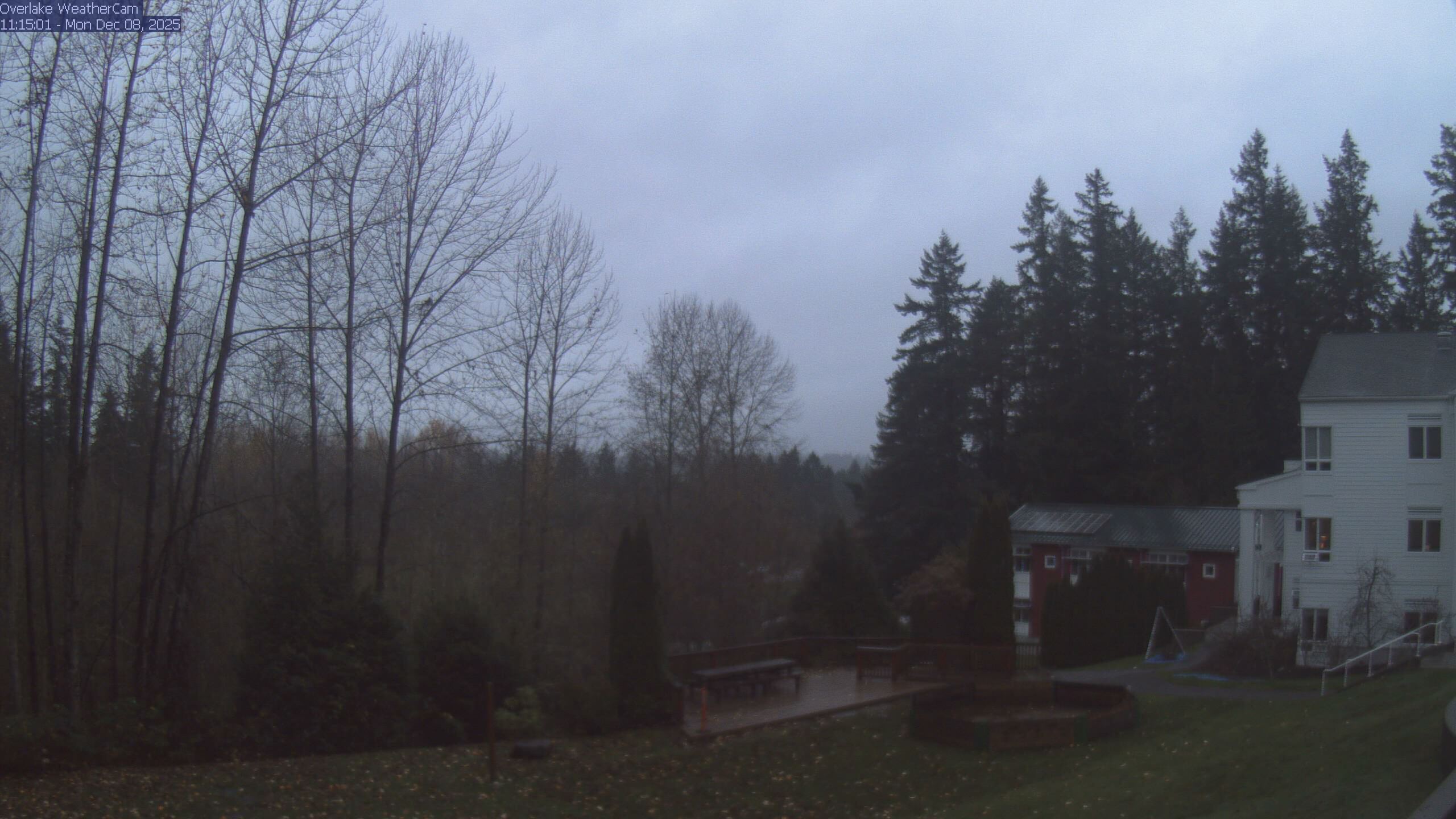 Thumbnail for current weather camera view from The Overlake School in Redmond, Washington