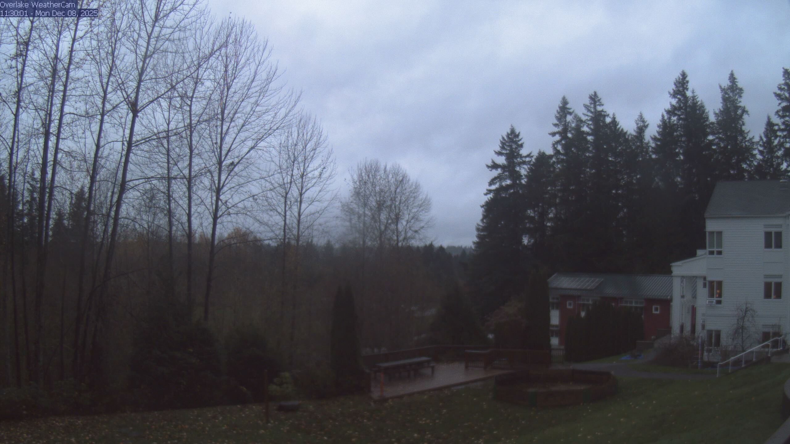 Thumbnail for current weather camera view from The Overlake School in Redmond, Washington