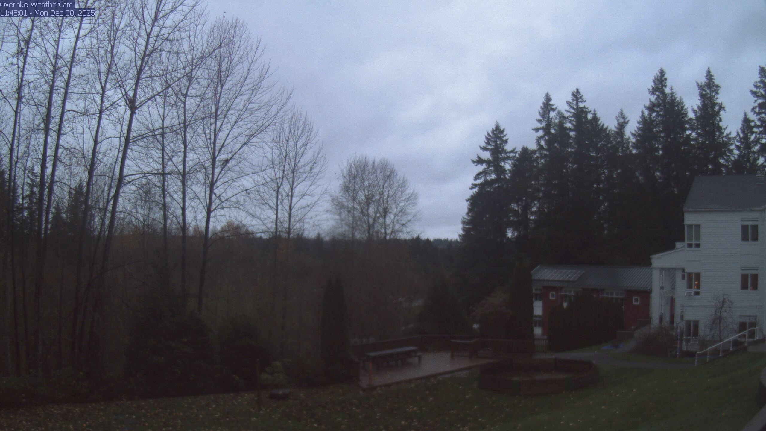 Thumbnail for current weather camera view from The Overlake School in Redmond, Washington