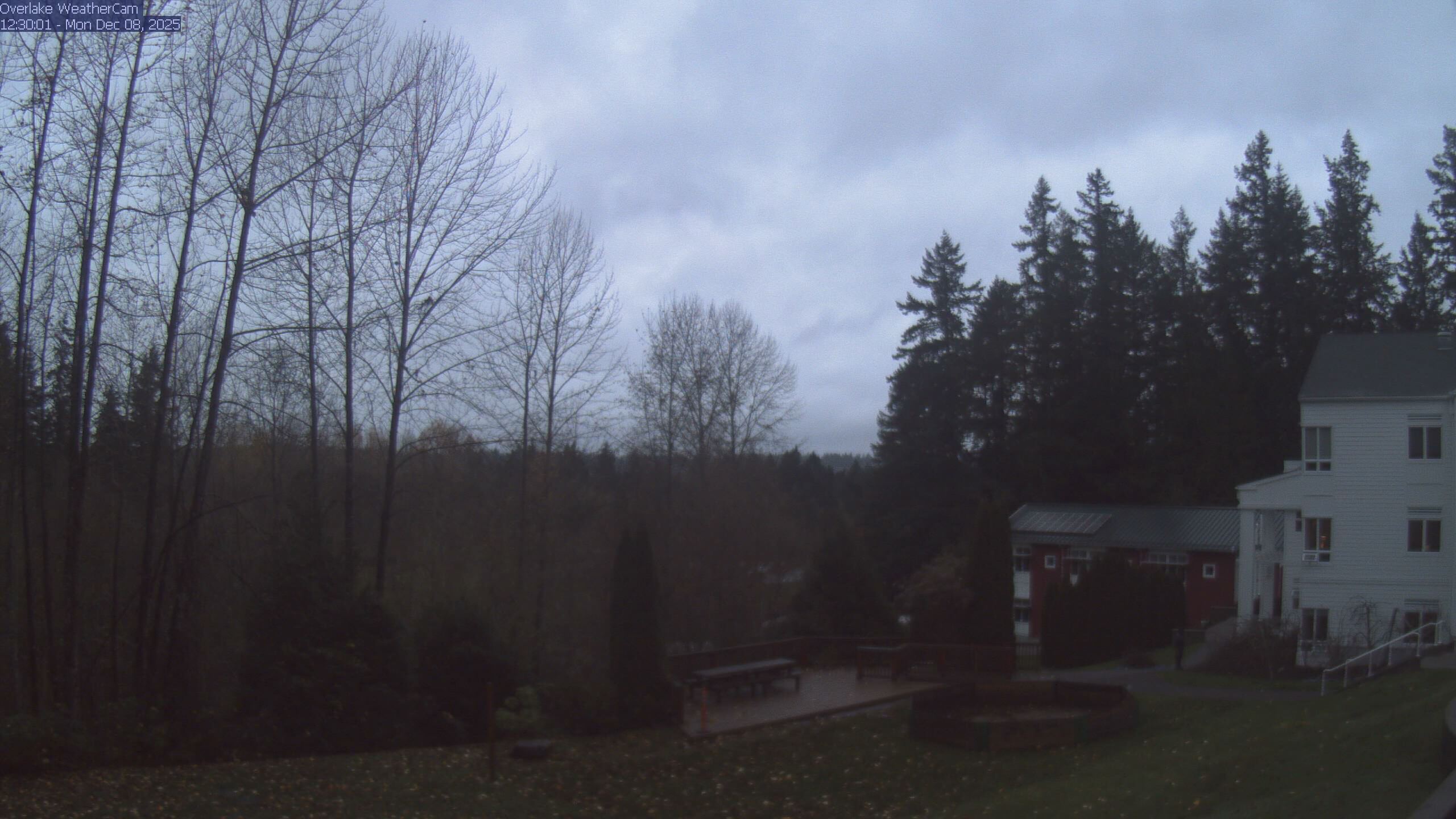 Thumbnail for current weather camera view from The Overlake School in Redmond, Washington