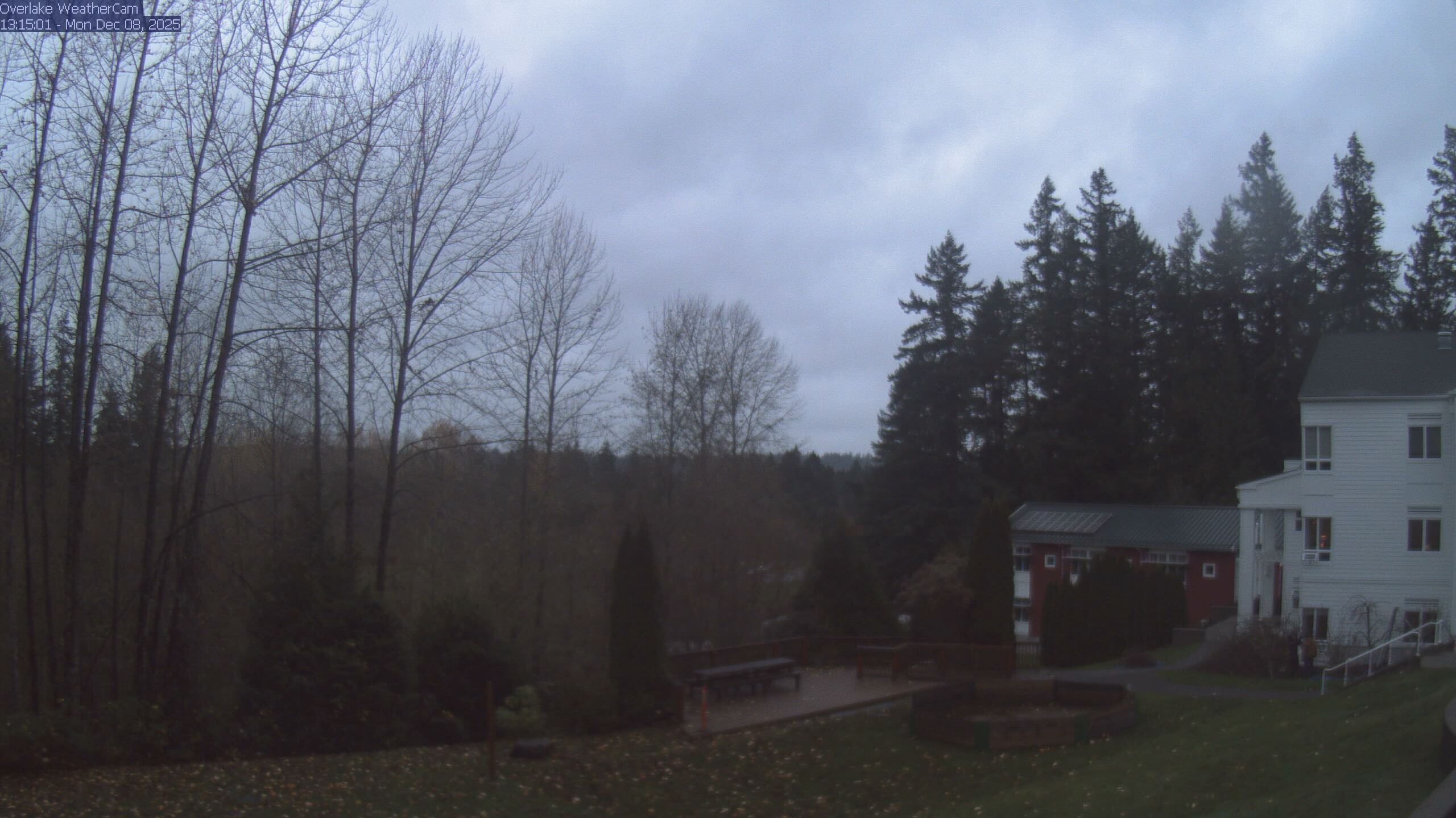 Thumbnail for current weather camera view from The Overlake School in Redmond, Washington