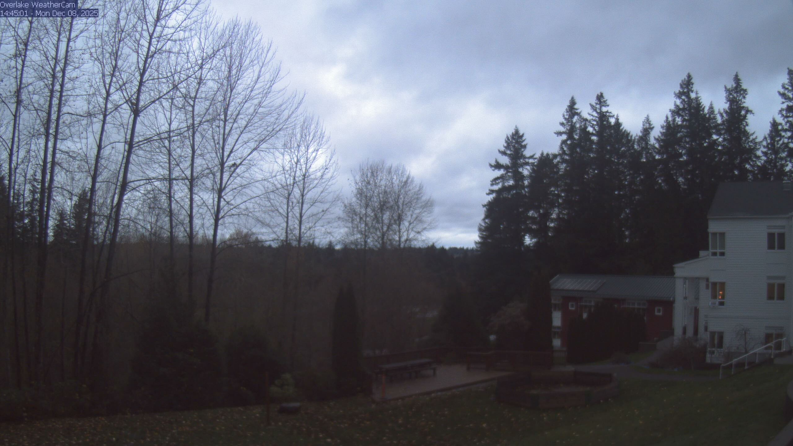 Thumbnail for current weather camera view from The Overlake School in Redmond, Washington