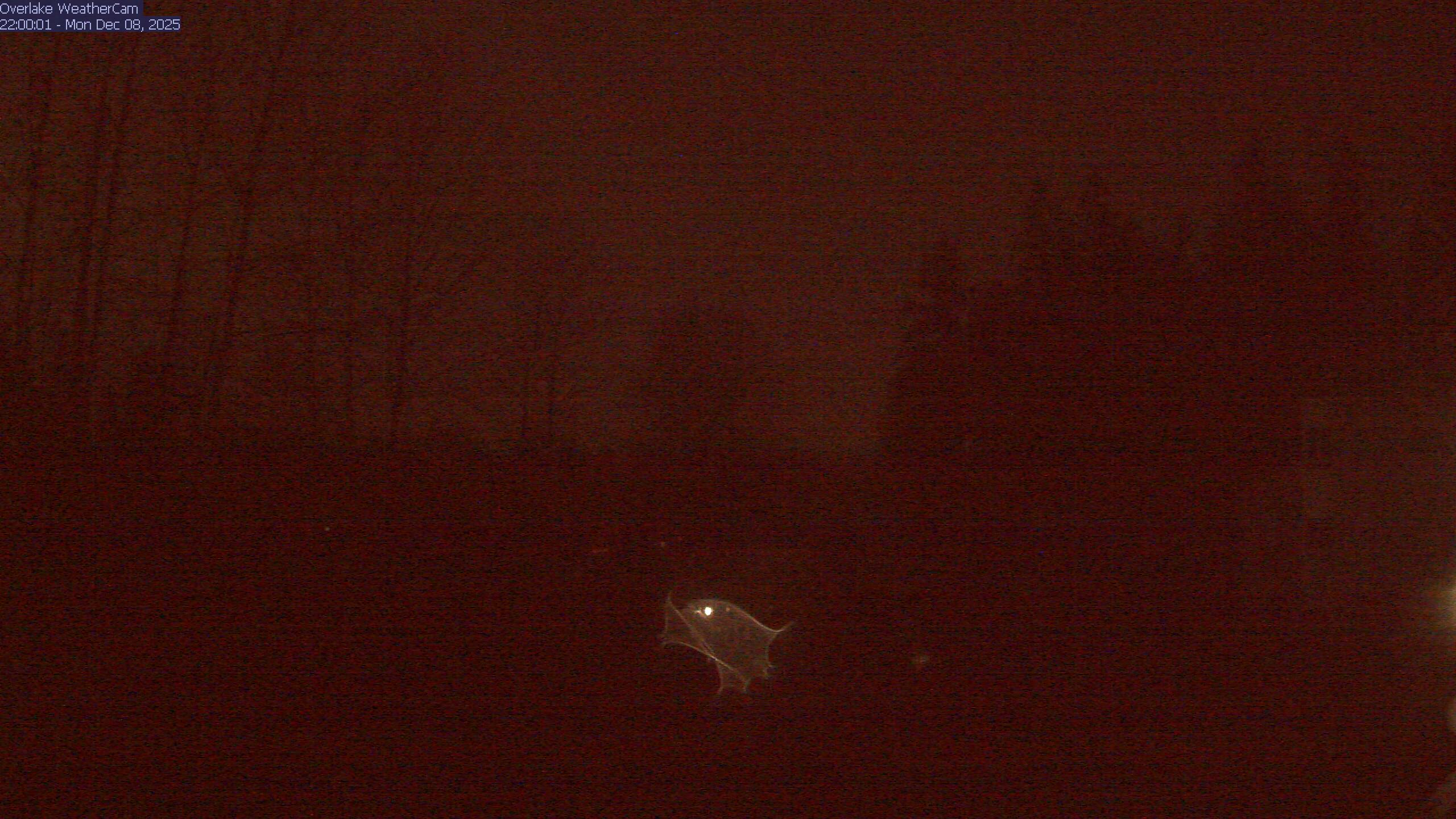 Thumbnail for current weather camera view from The Overlake School in Redmond, Washington